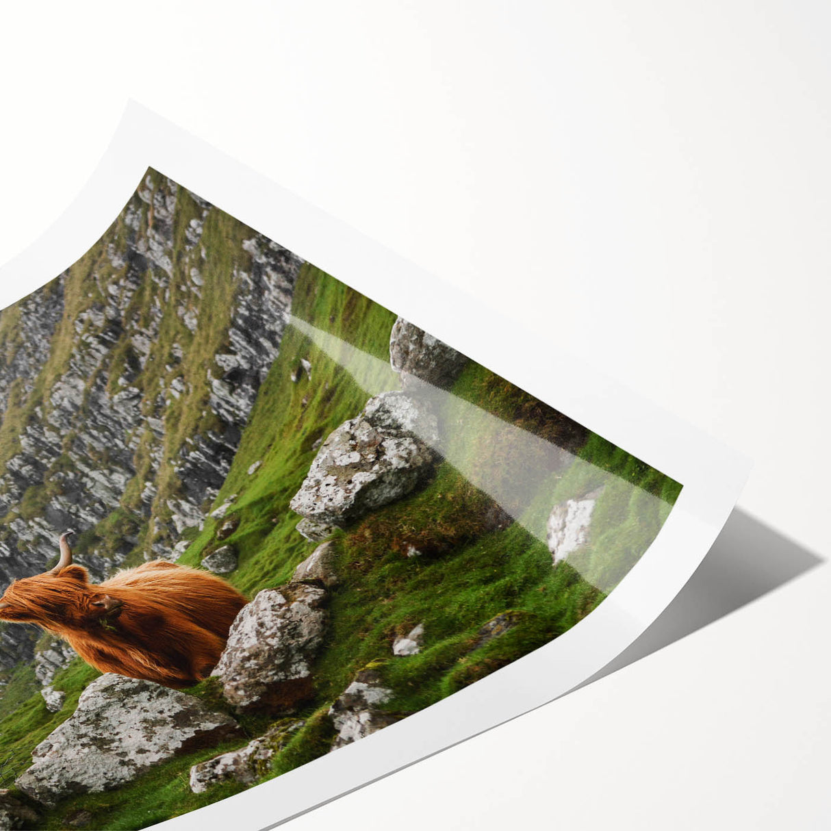 Highland Cow in Mountain Landscape Rustic Wall Art – Farmhouse Decor Print