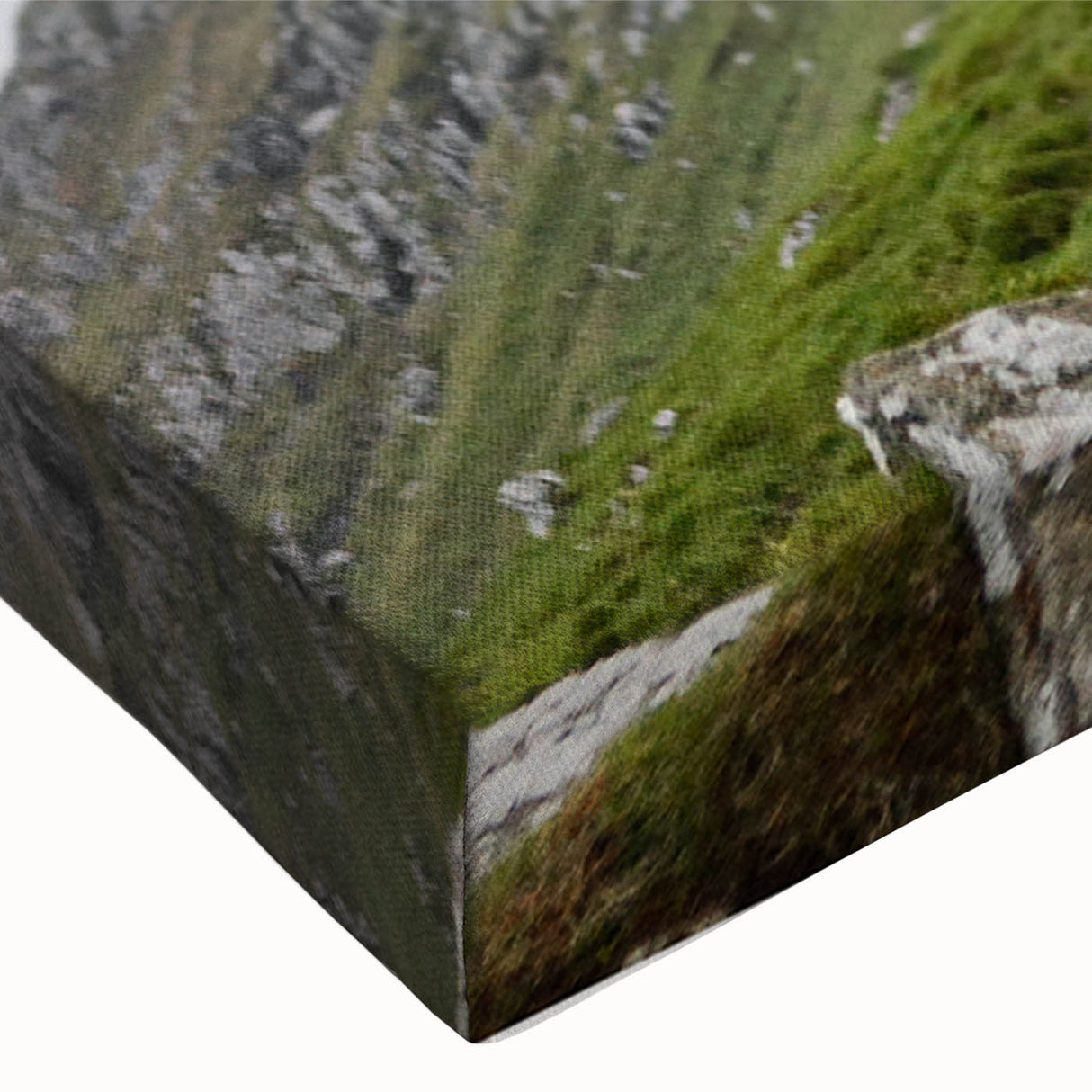 Highland Cow in Mountain Landscape Rustic Wall Art – Farmhouse Decor Print