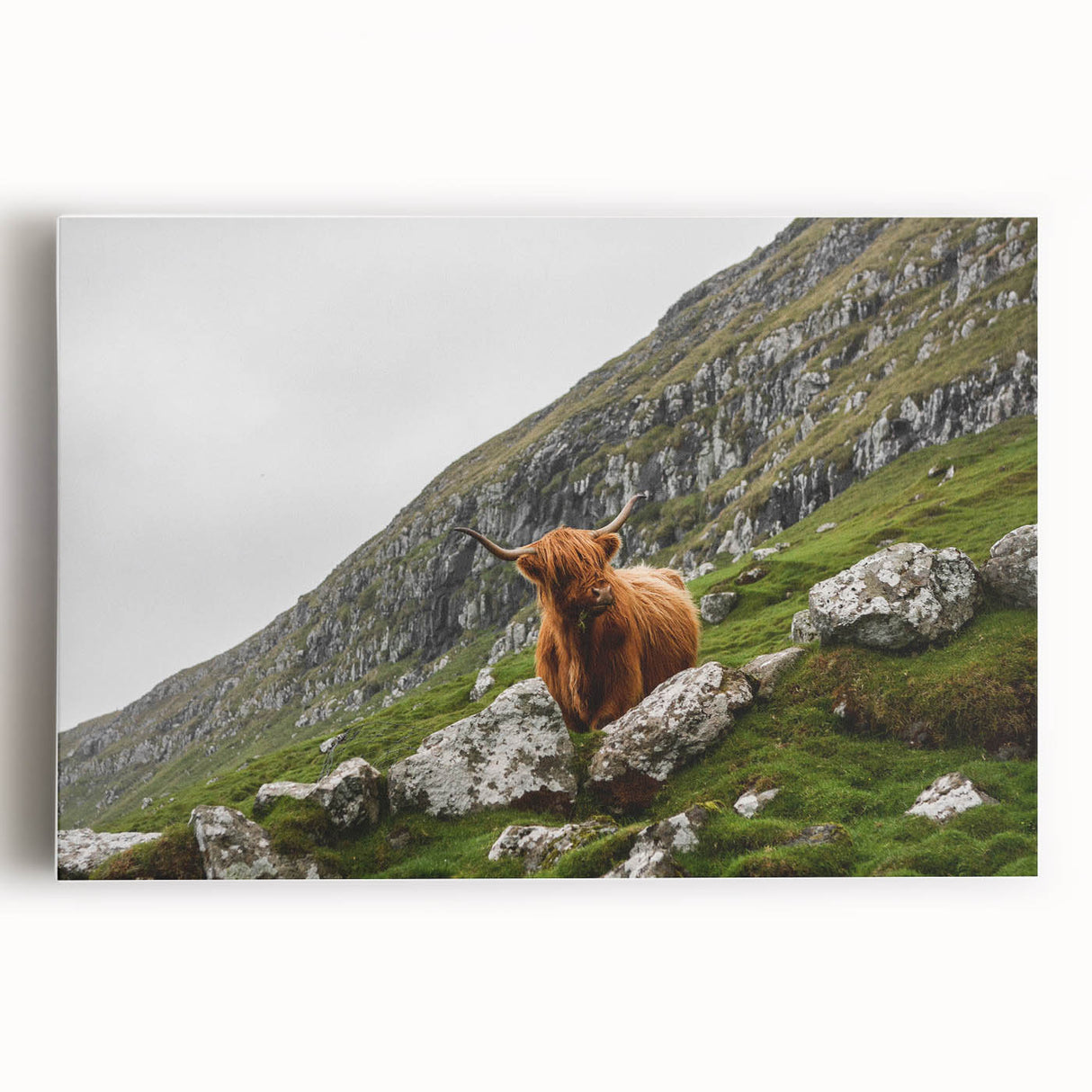 Highland Cow in Mountain Landscape Rustic Wall Art – Farmhouse Decor Print