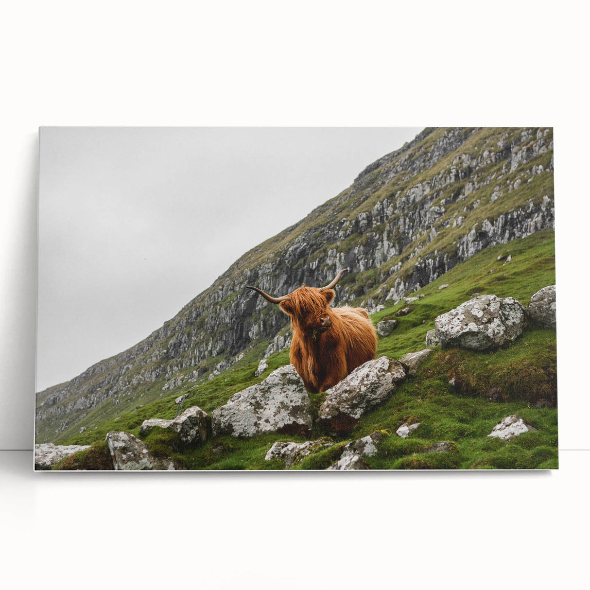 Highland Cow in Mountain Landscape Rustic Wall Art – Farmhouse Decor Print