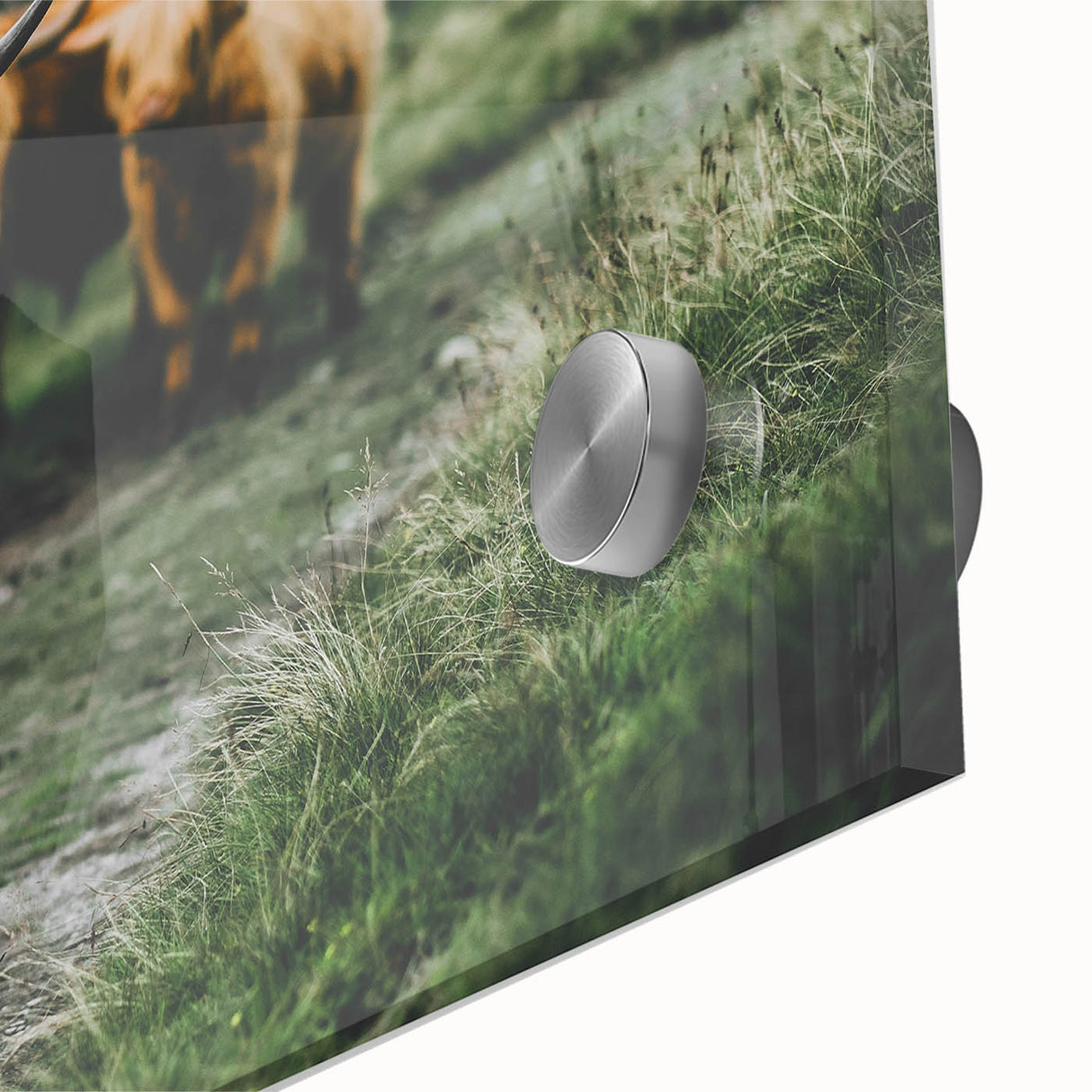 Highland Cows Rustic Wall Art – Farmhouse Nature-Inspired Decor Print