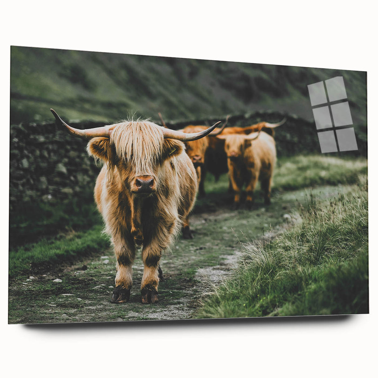 Highland Cows Rustic Wall Art – Farmhouse Nature-Inspired Decor Print