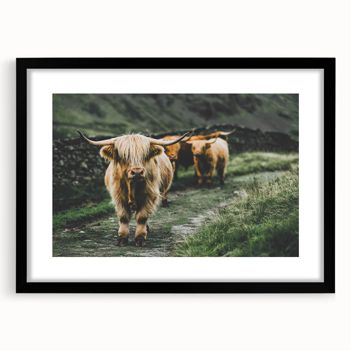 Highland Cows Rustic Wall Art – Farmhouse Nature-Inspired Decor Print