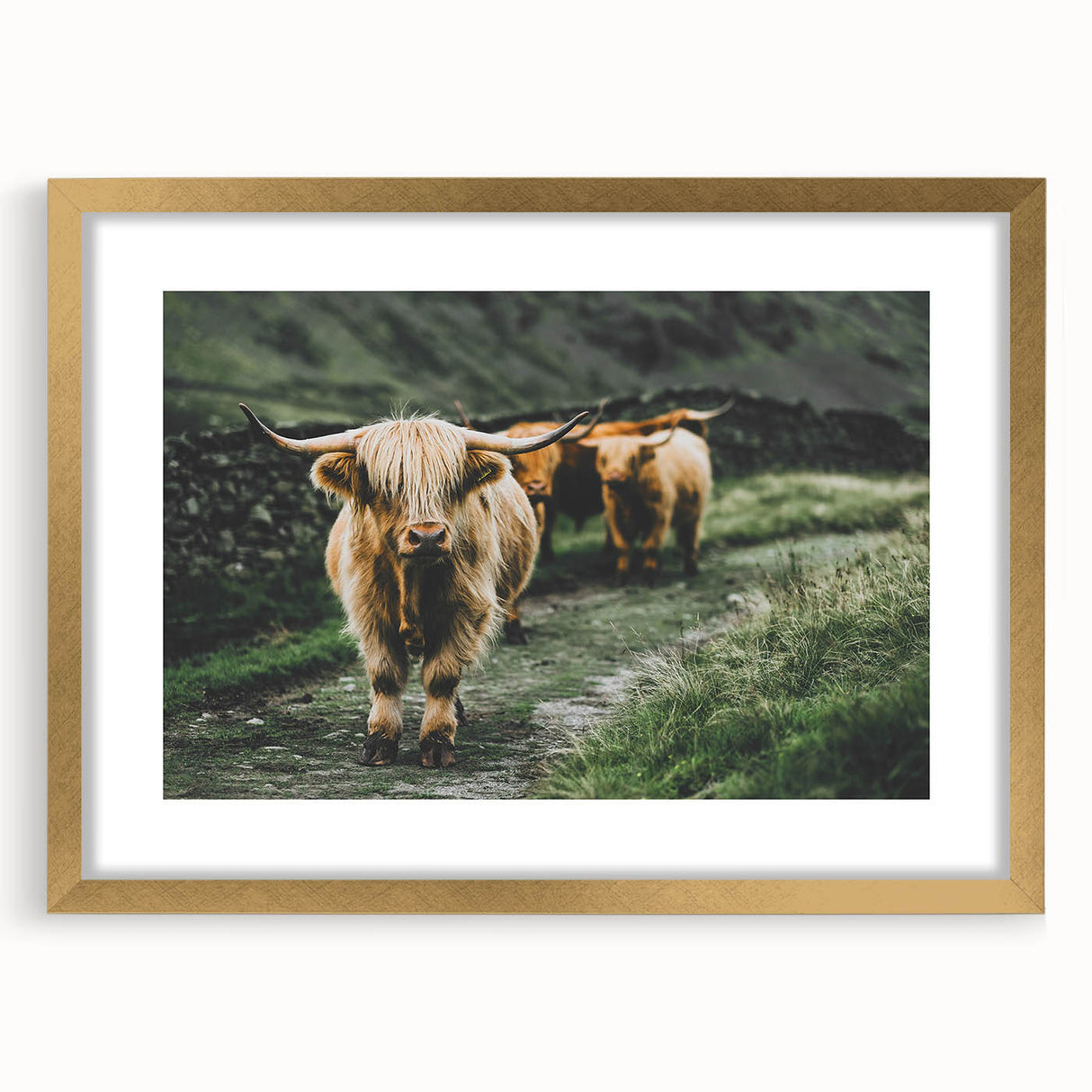 Highland Cows Rustic Wall Art – Farmhouse Nature-Inspired Decor Print