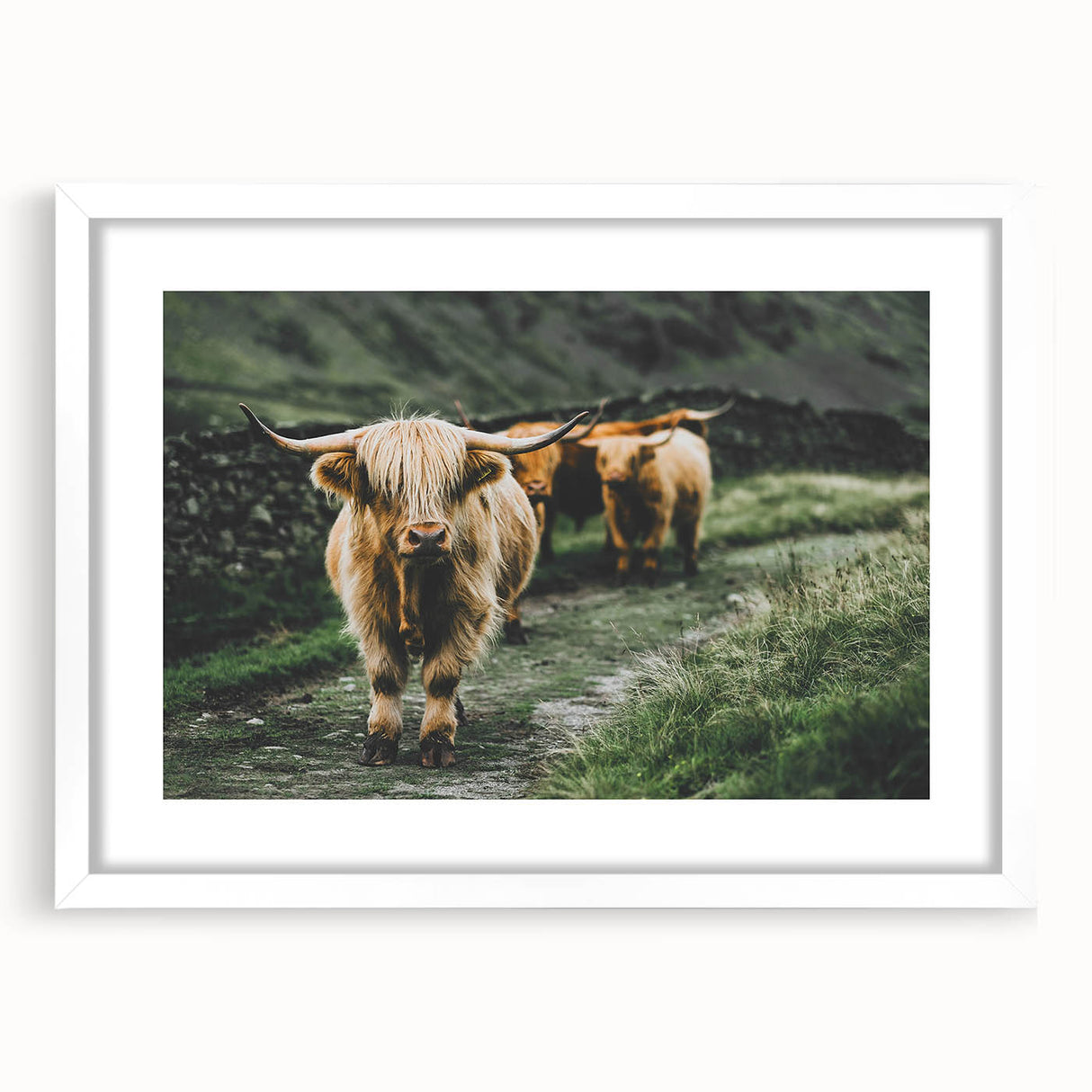 Highland Cows Rustic Wall Art – Farmhouse Nature-Inspired Decor Print