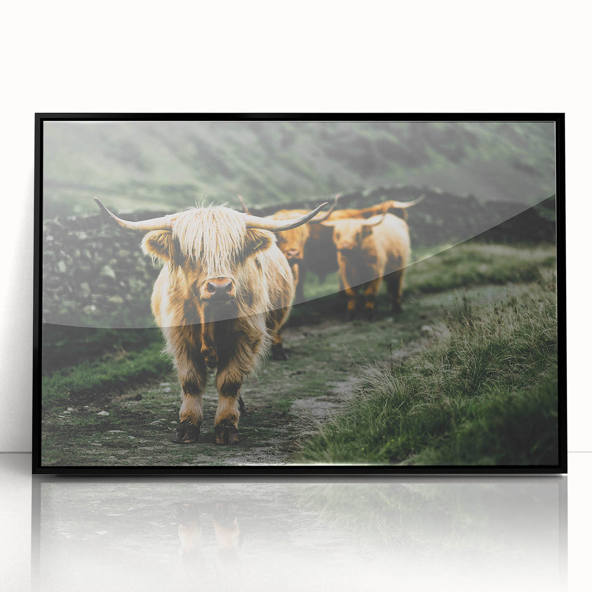 Highland Cows Rustic Wall Art – Farmhouse Nature-Inspired Decor Print
