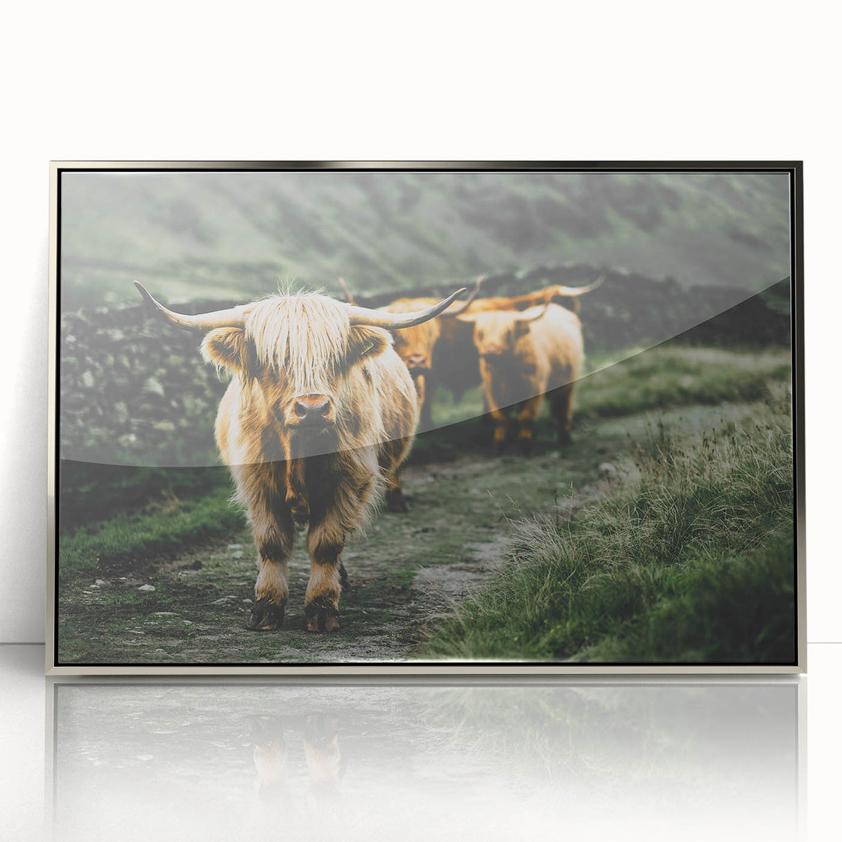 Highland Cows Rustic Wall Art – Farmhouse Nature-Inspired Decor Print