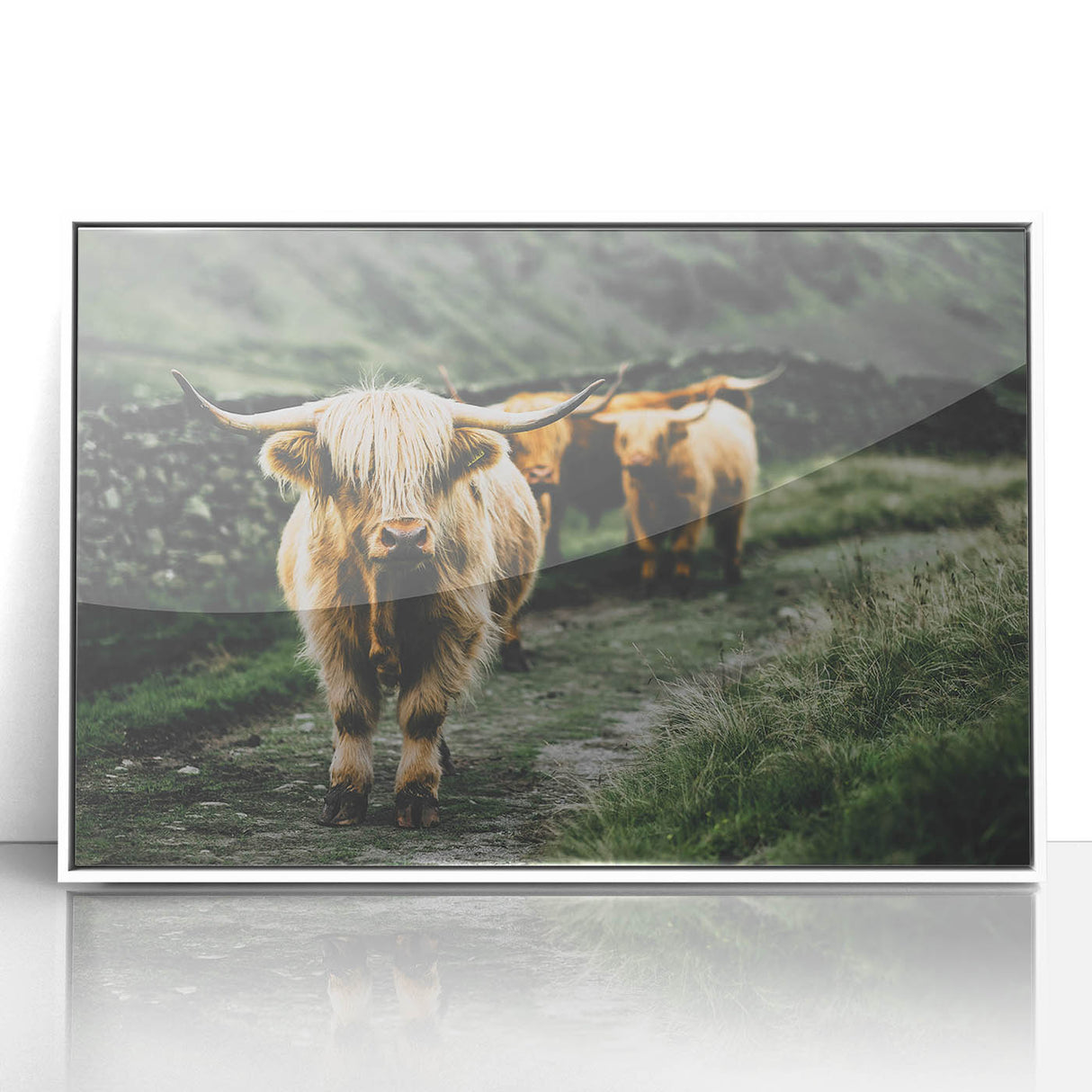 Highland Cows Rustic Wall Art – Farmhouse Nature-Inspired Decor Print