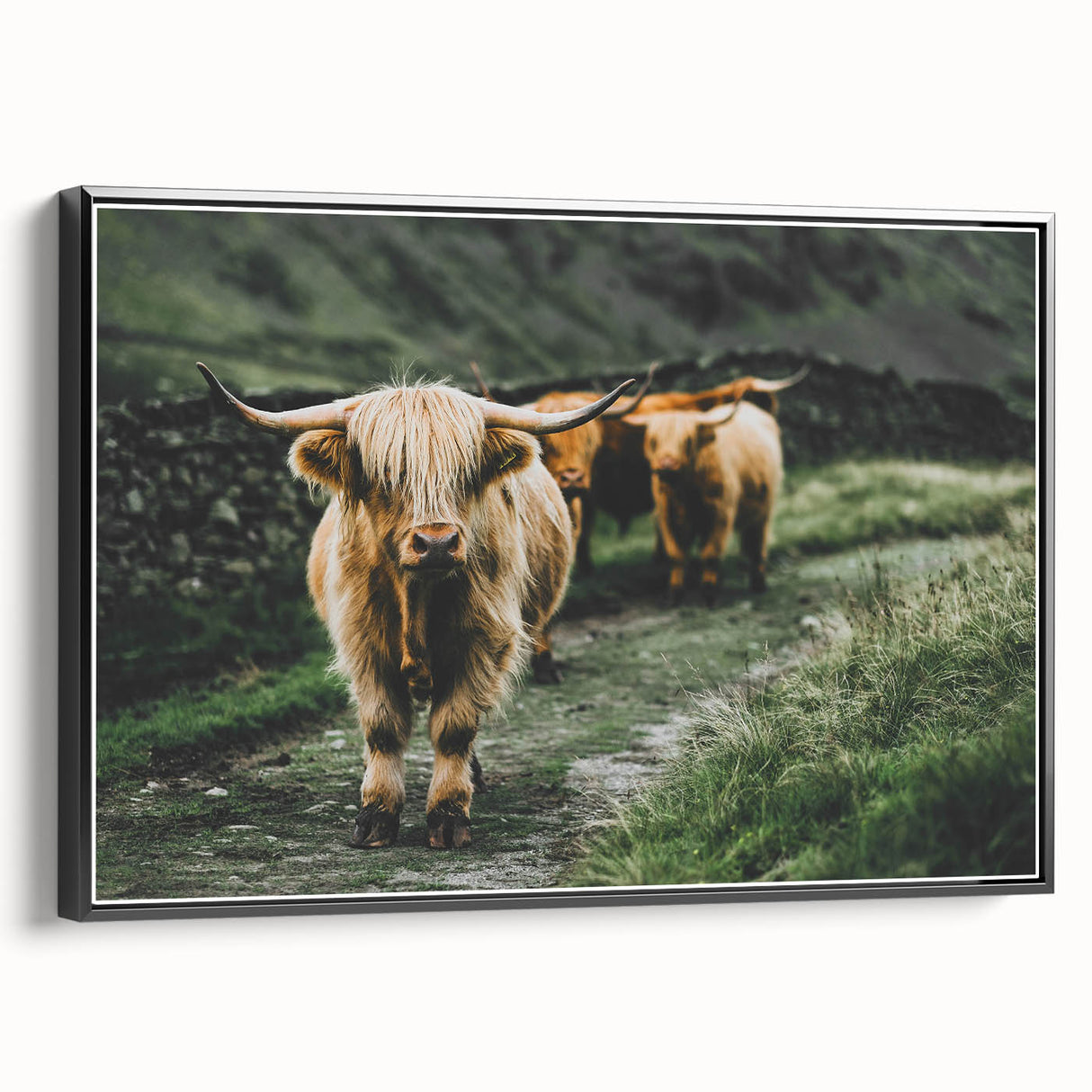 Highland Cows Rustic Wall Art – Farmhouse Nature-Inspired Decor Print