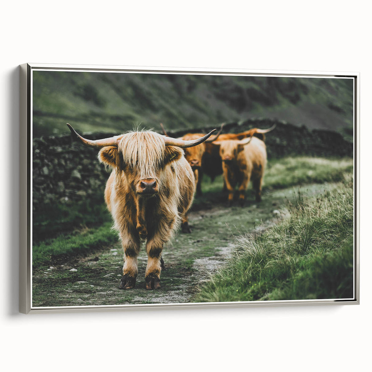 Highland Cows Rustic Wall Art – Farmhouse Nature-Inspired Decor Print