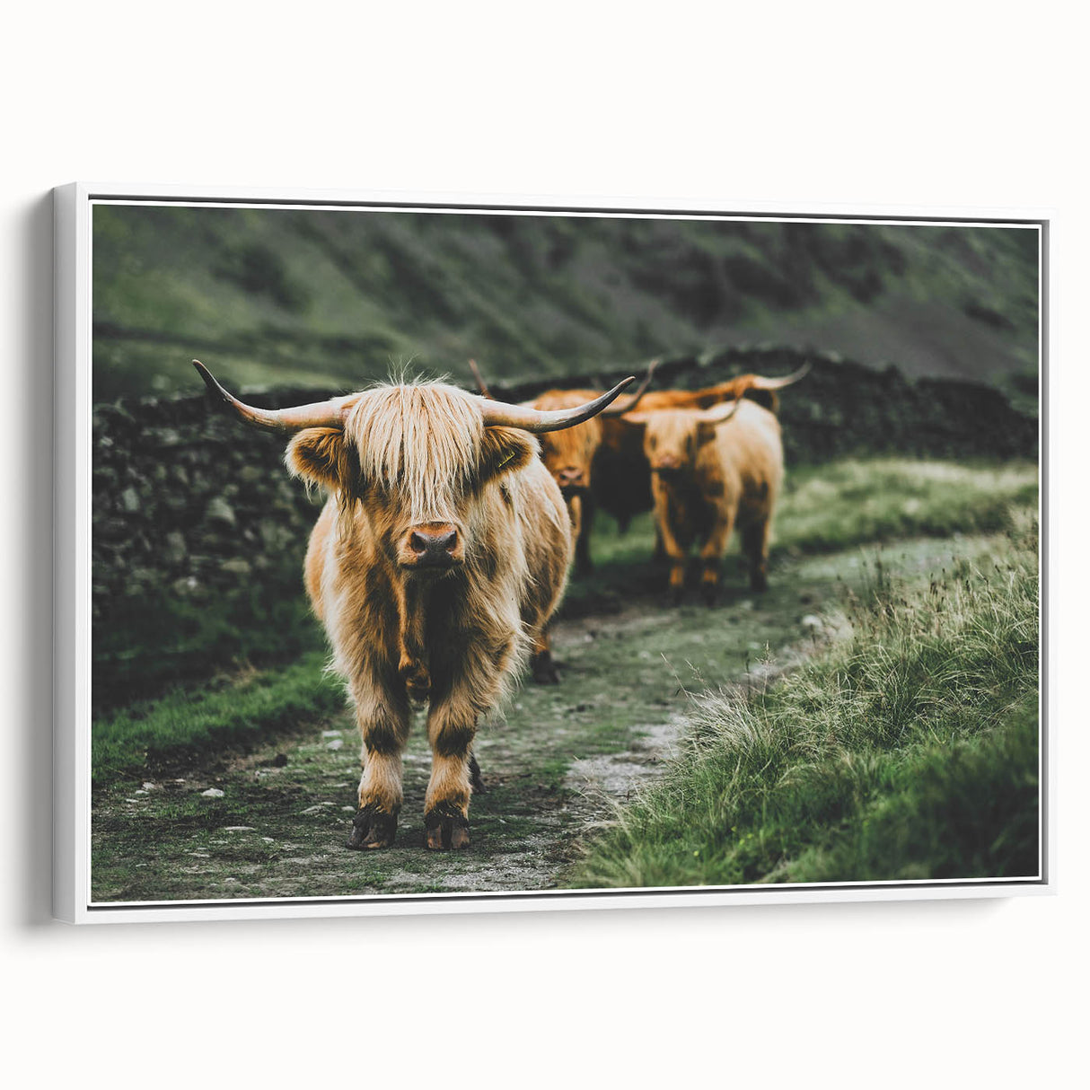 Highland Cows Rustic Wall Art – Farmhouse Nature-Inspired Decor Print