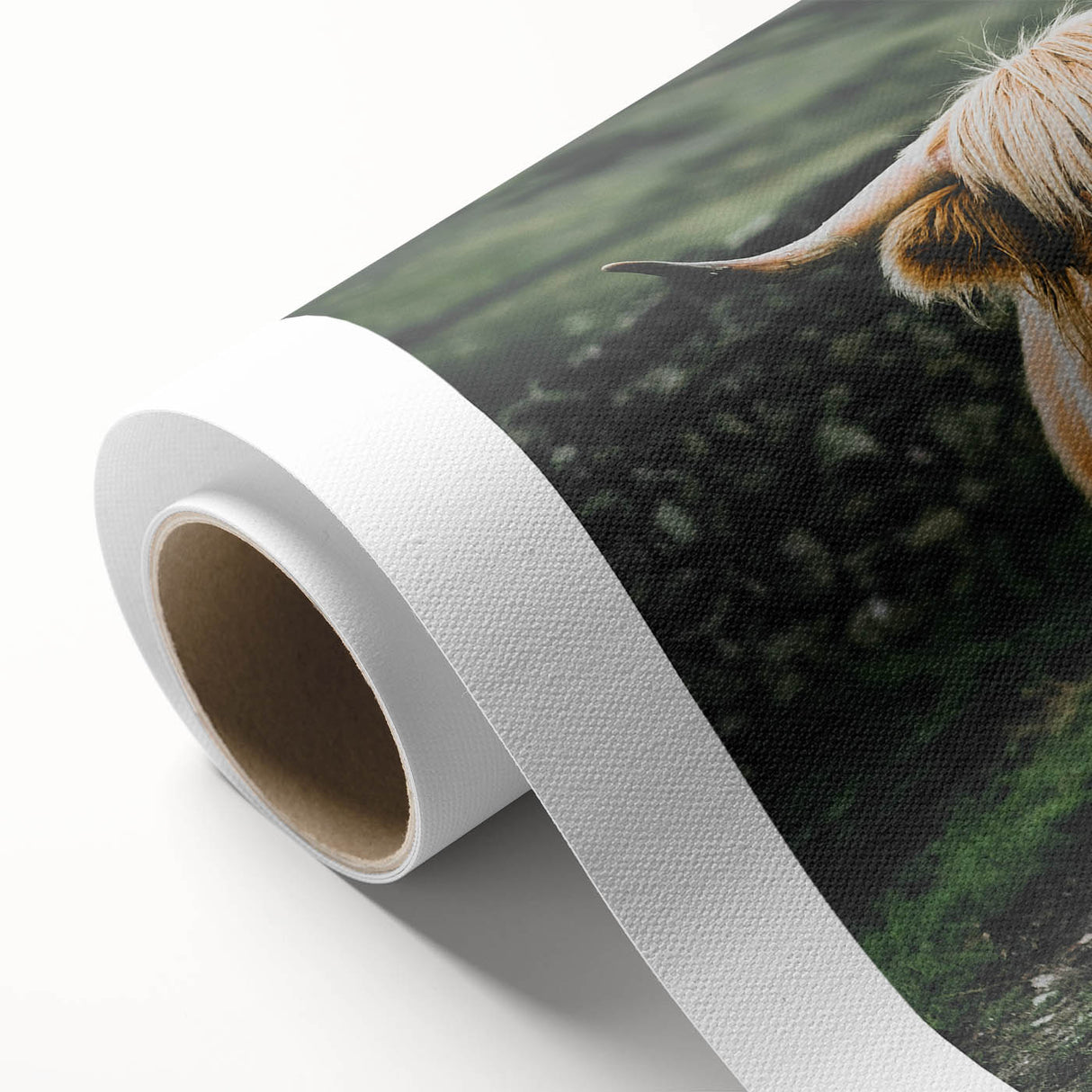 Highland Cows Rustic Wall Art – Farmhouse Nature-Inspired Decor Print