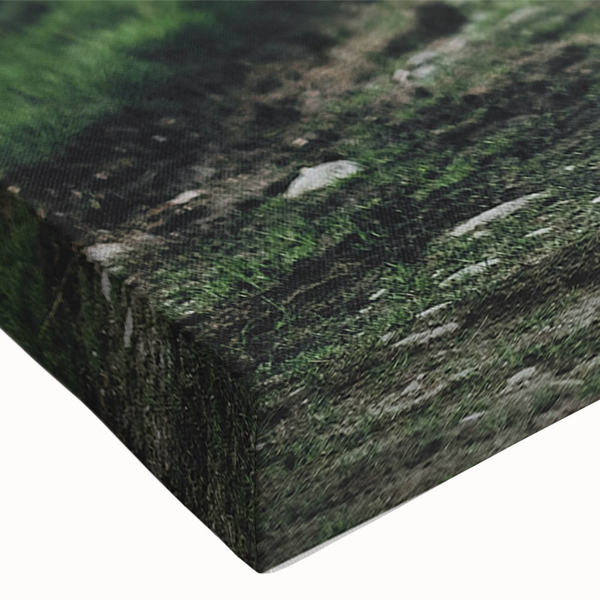 Highland Cows Rustic Wall Art – Farmhouse Nature-Inspired Decor Print