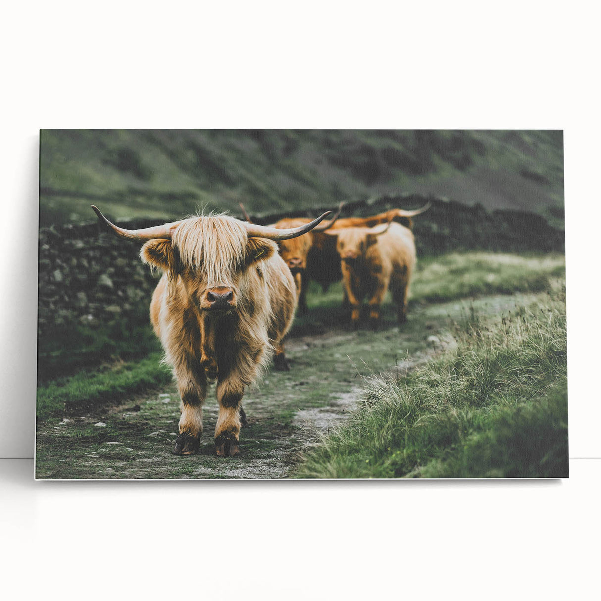 Highland Cows Rustic Wall Art – Farmhouse Nature-Inspired Decor Print