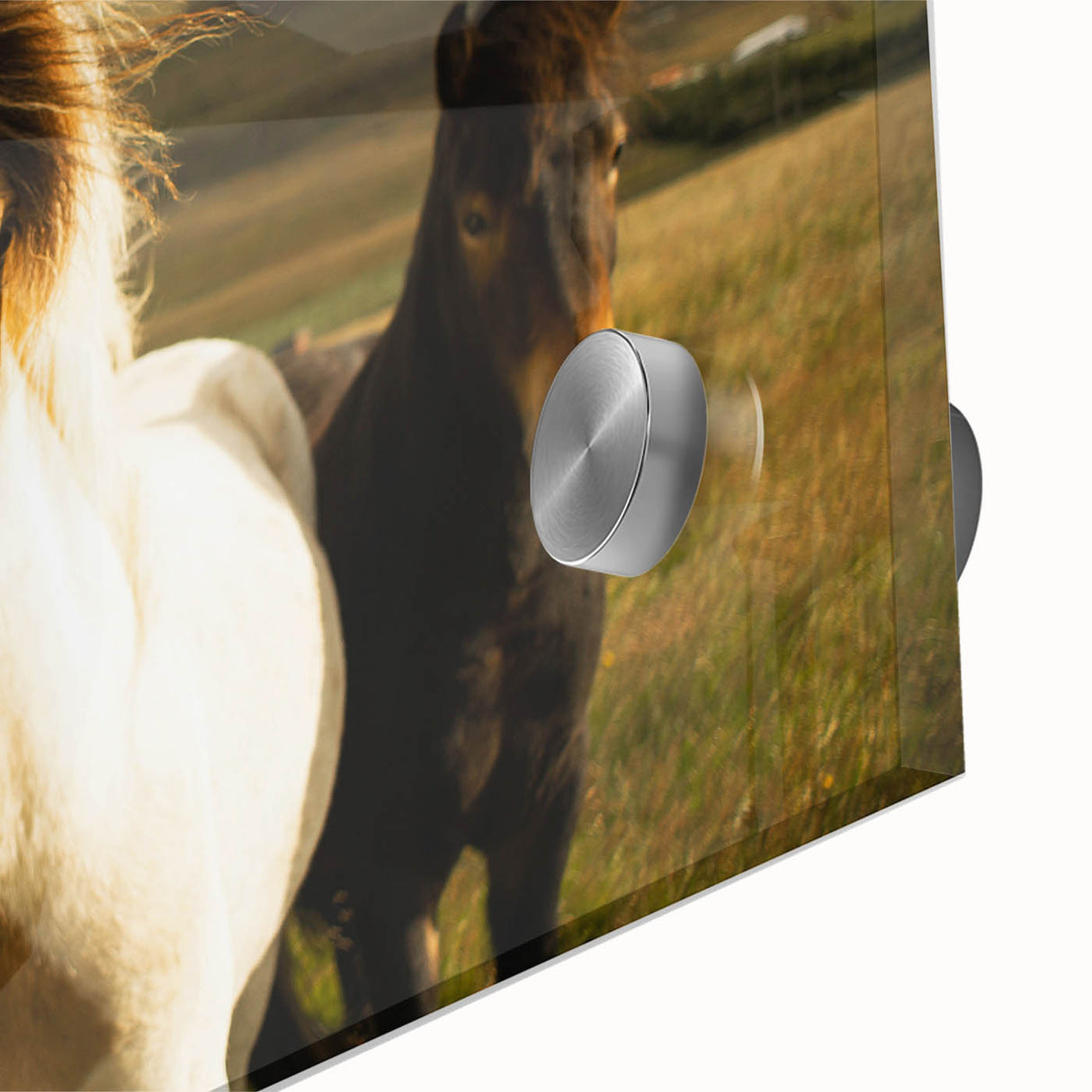 Wild Horses in Countryside Rustic Wall Art – Farmhouse Nature Decor Print