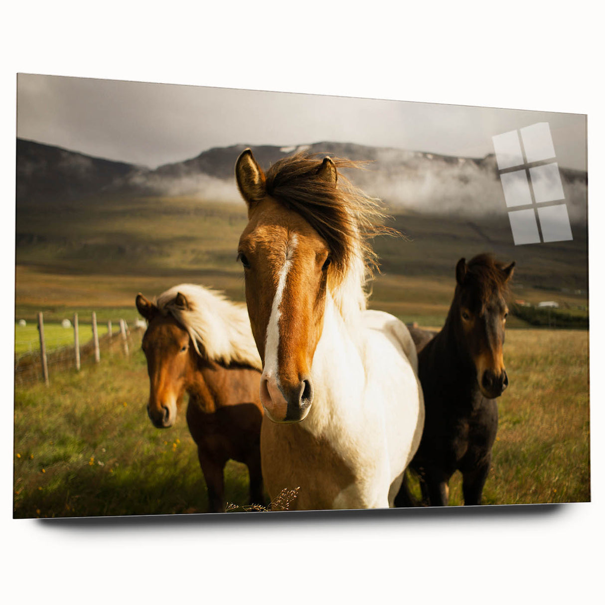 Wild Horses in Countryside Rustic Wall Art – Farmhouse Nature Decor Print