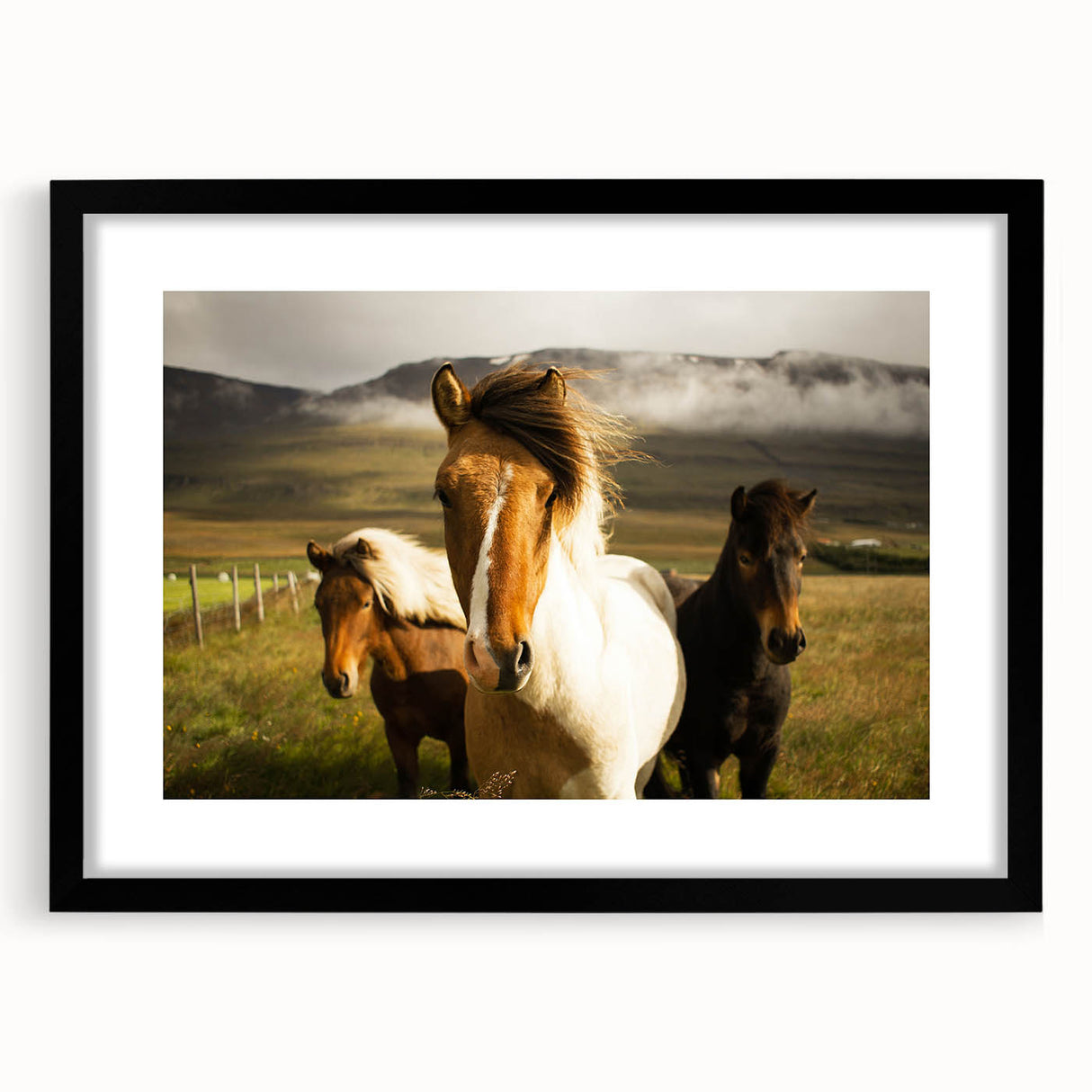 Wild Horses in Countryside Rustic Wall Art – Farmhouse Nature Decor Print
