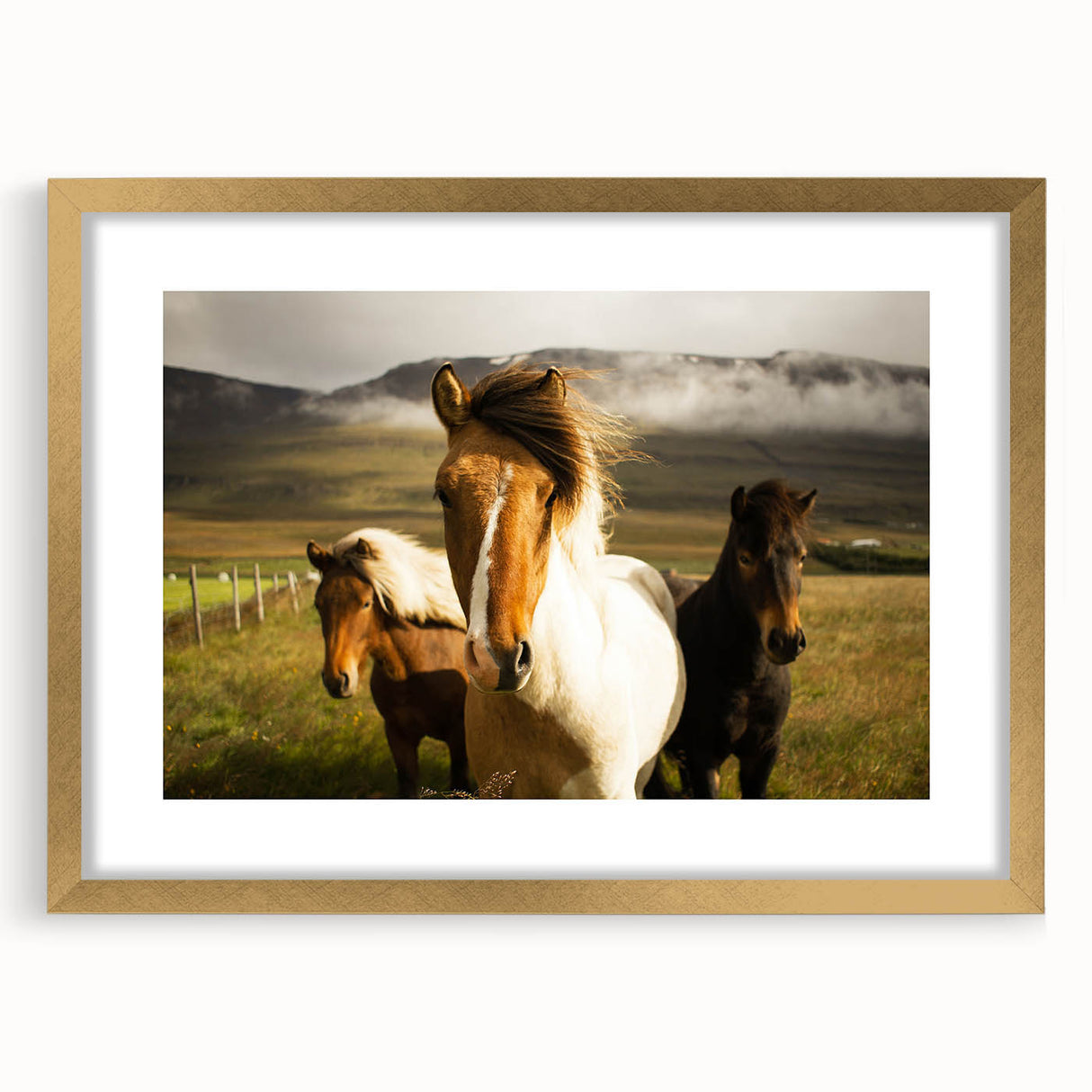Wild Horses in Countryside Rustic Wall Art – Farmhouse Nature Decor Print