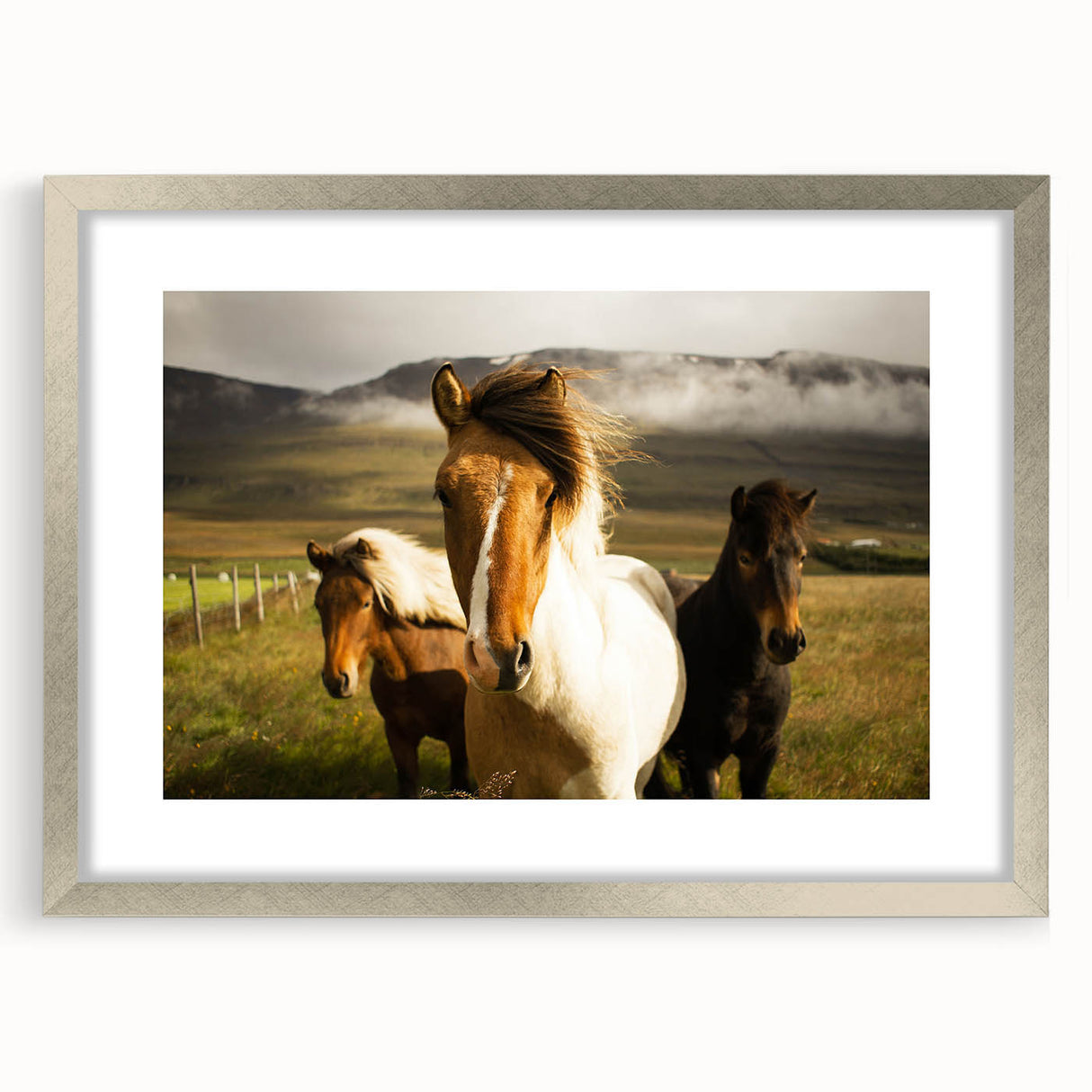 Wild Horses in Countryside Rustic Wall Art – Farmhouse Nature Decor Print