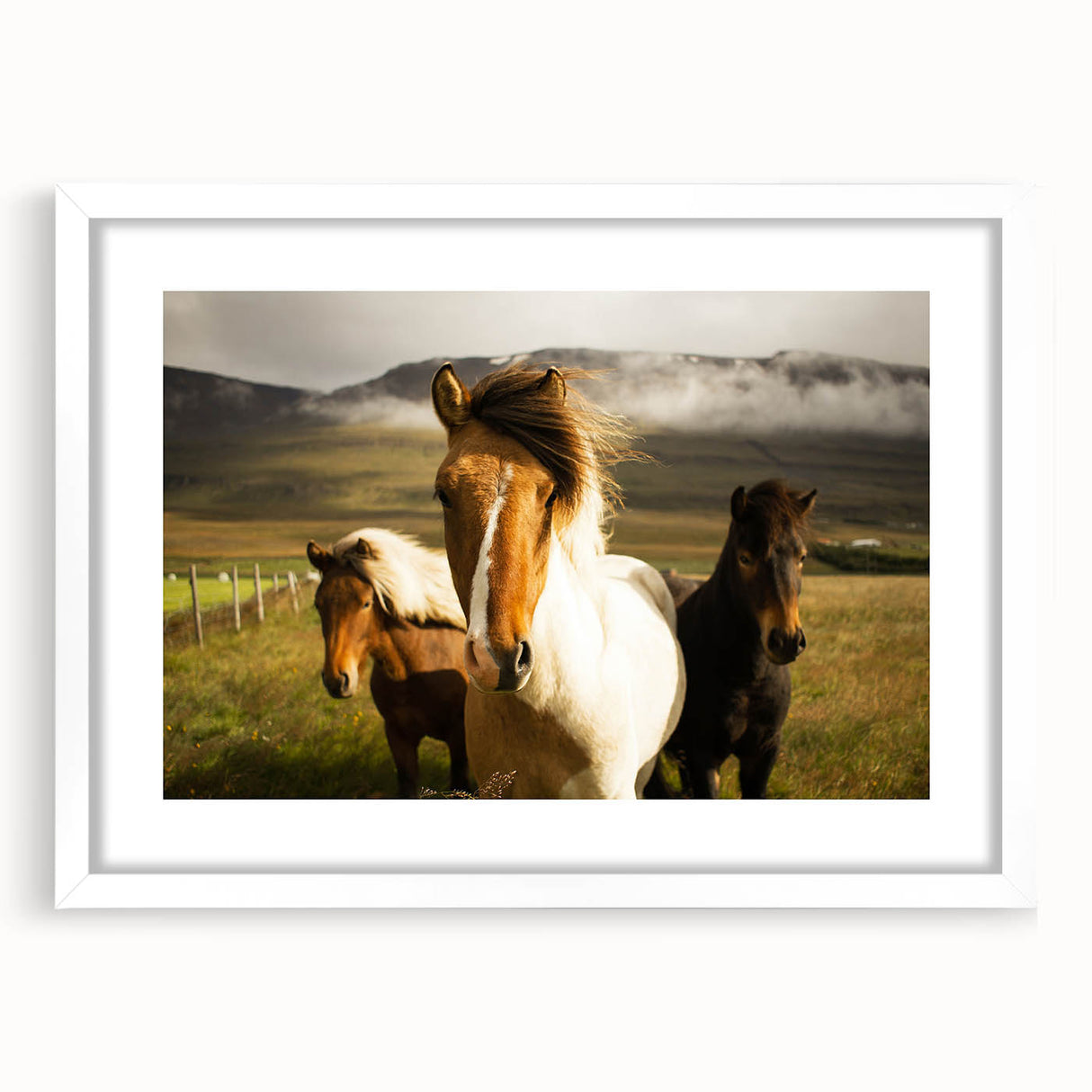 Wild Horses in Countryside Rustic Wall Art – Farmhouse Nature Decor Print