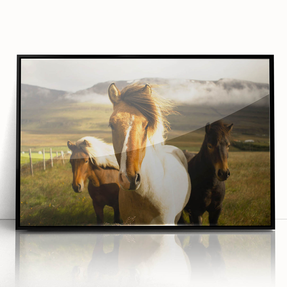 Wild Horses in Countryside Rustic Wall Art – Farmhouse Nature Decor Print