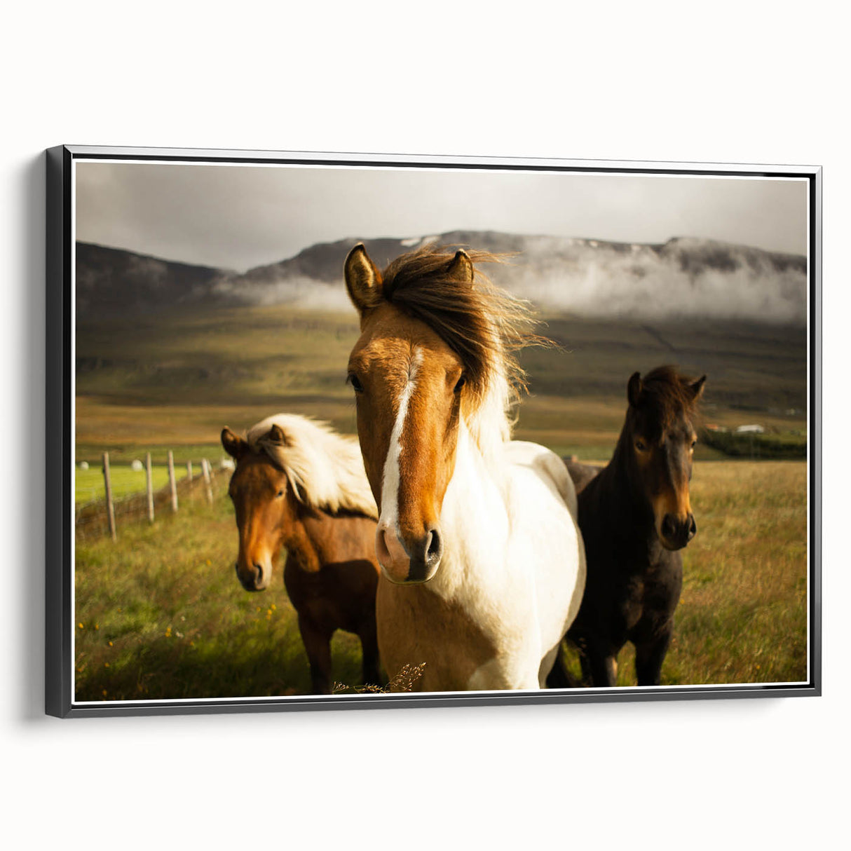 Wild Horses in Countryside Rustic Wall Art – Farmhouse Nature Decor Print