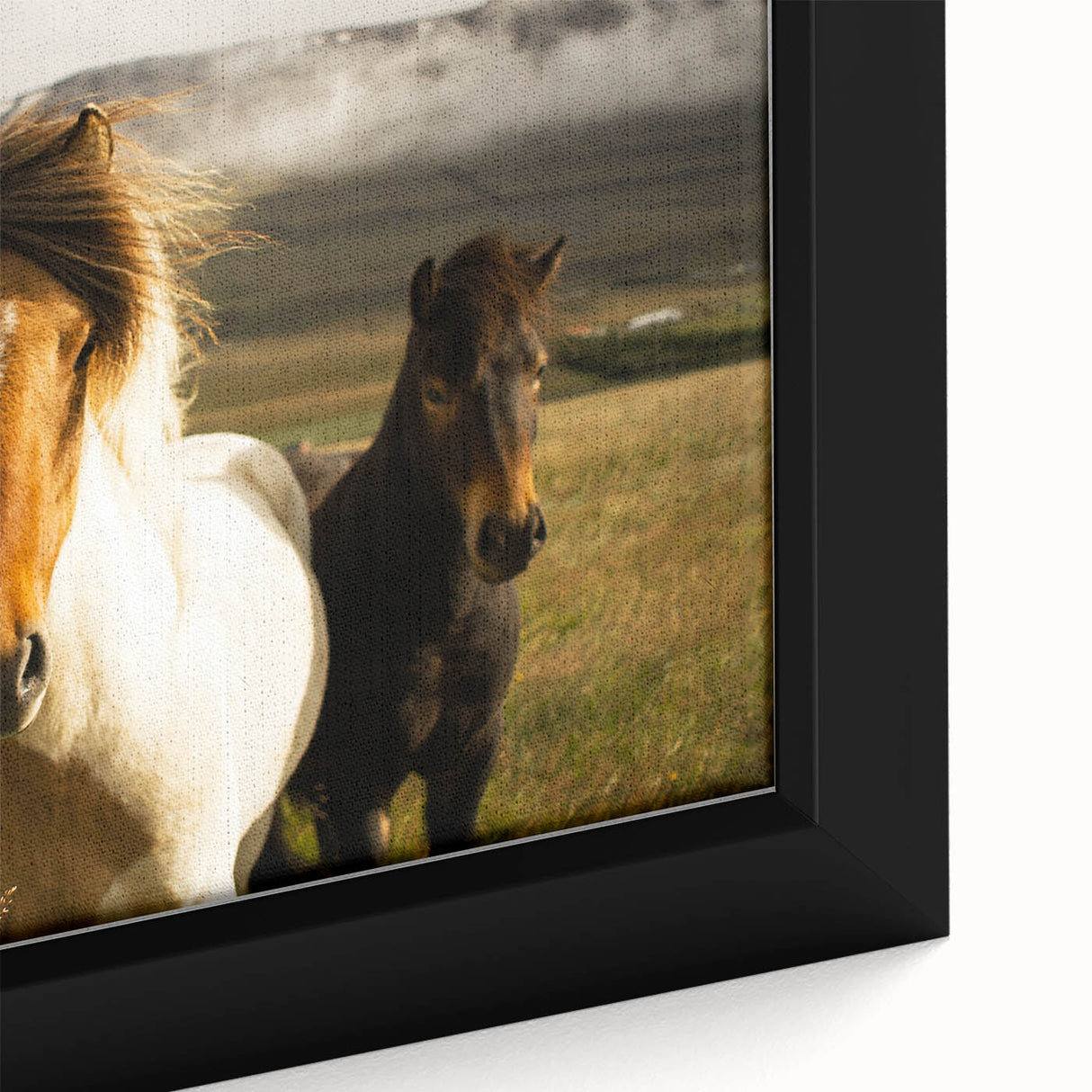 Wild Horses in Countryside Rustic Wall Art – Farmhouse Nature Decor Print