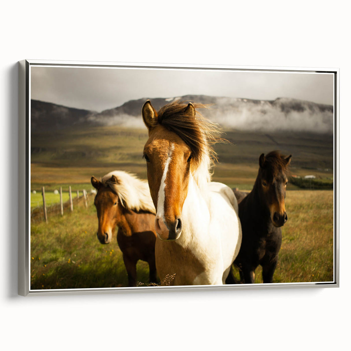Wild Horses in Countryside Rustic Wall Art – Farmhouse Nature Decor Print