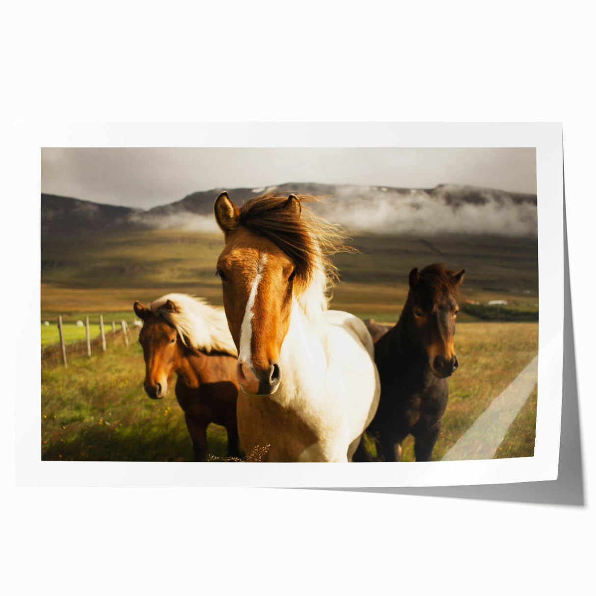 Wild Horses in Countryside Rustic Wall Art – Farmhouse Nature Decor Print