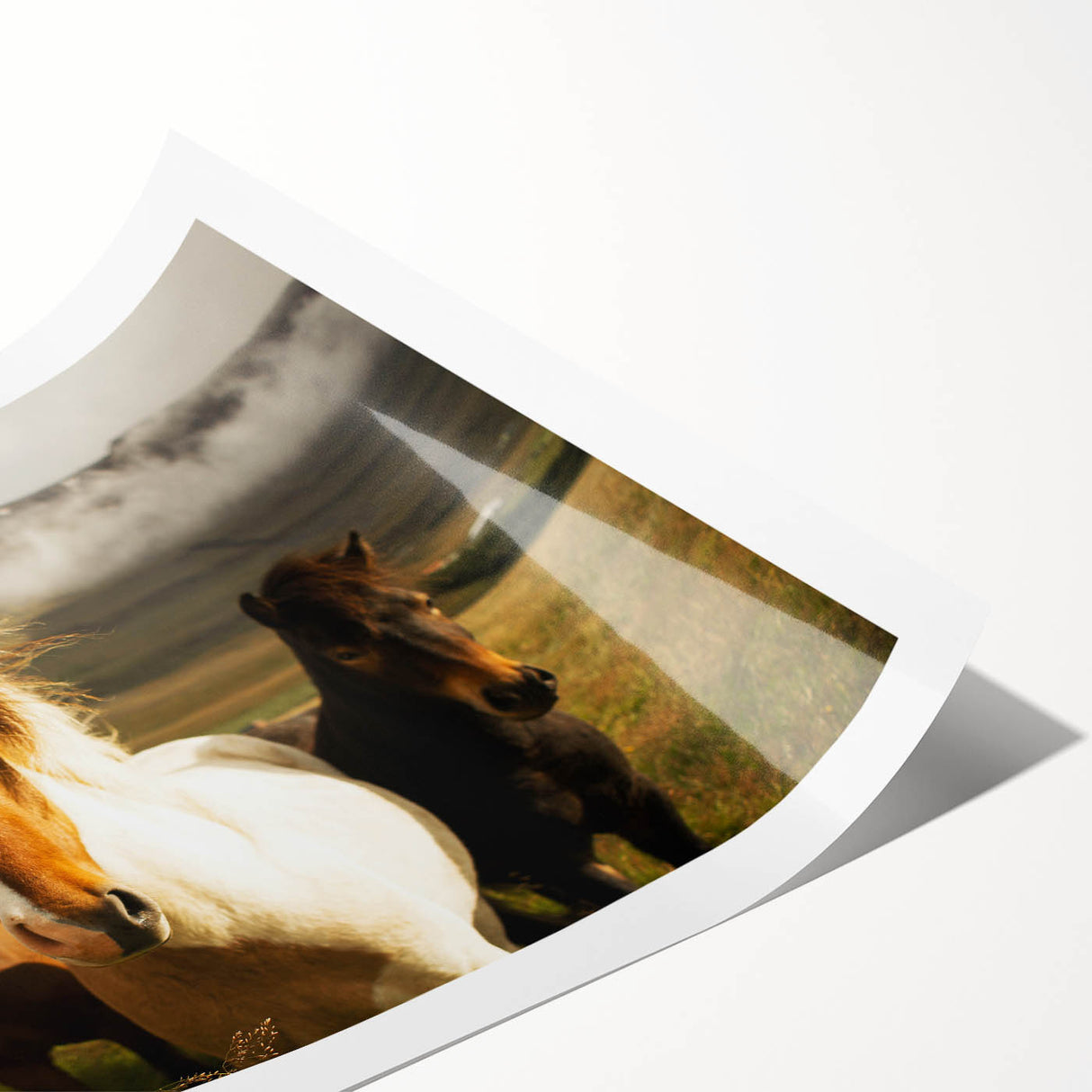 Wild Horses in Countryside Rustic Wall Art – Farmhouse Nature Decor Print