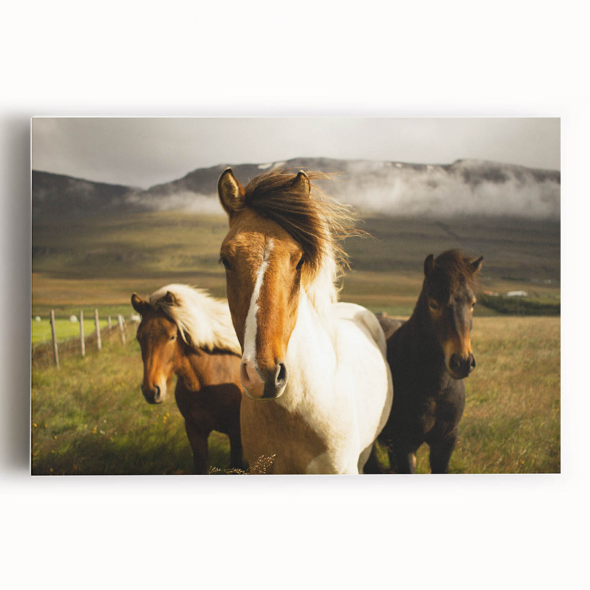 Wild Horses in Countryside Rustic Wall Art – Farmhouse Nature Decor Print