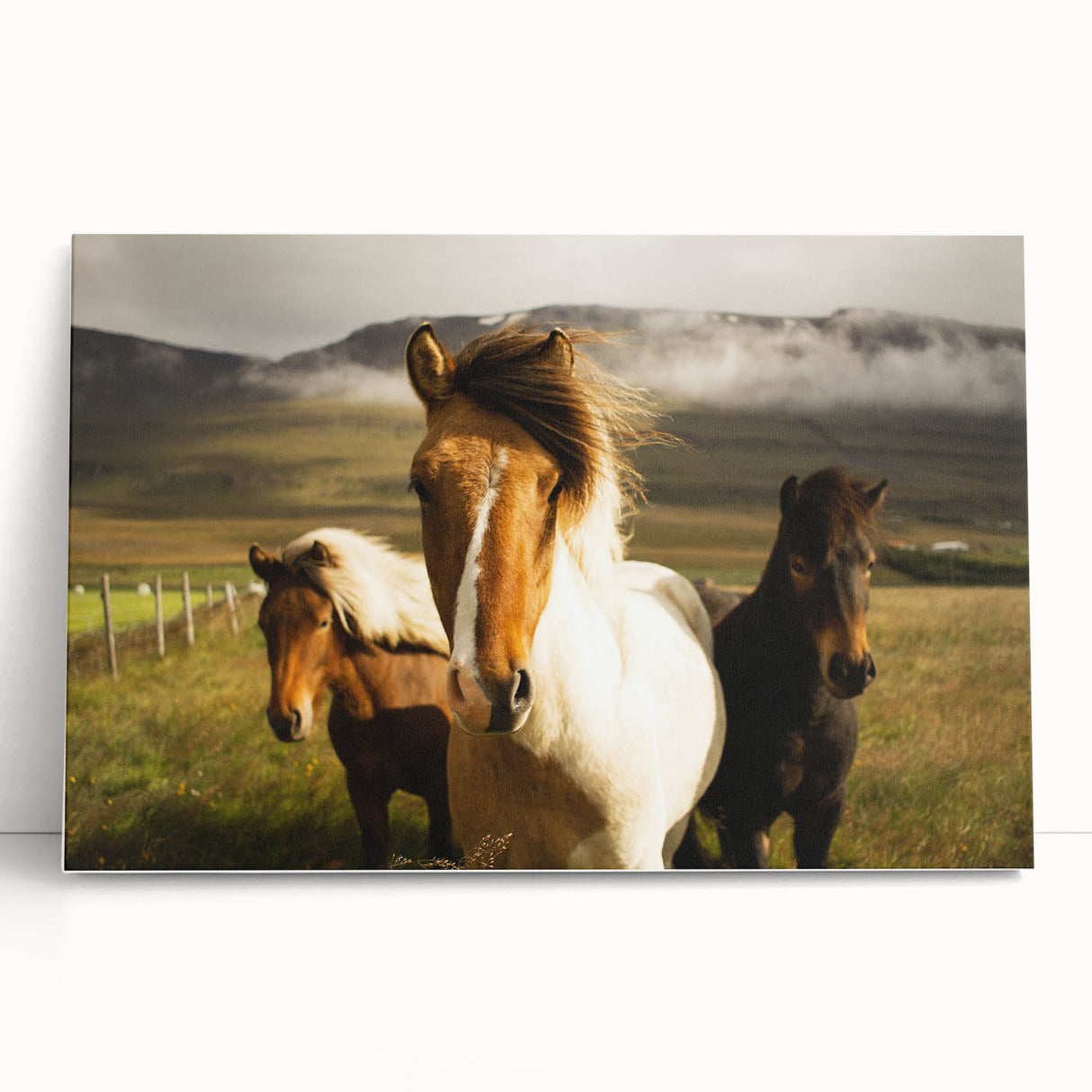 Wild Horses in Countryside Rustic Wall Art – Farmhouse Nature Decor Print