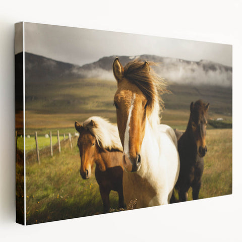 Wild Horses in Countryside Rustic Wall Art – Farmhouse Nature Decor Print