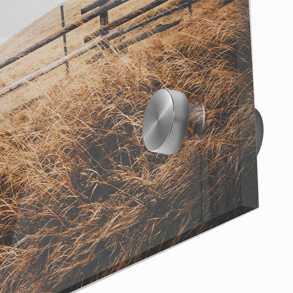 Windblown Prairie Grass Rustic Wall Art – Farmhouse Landscape Decor Print