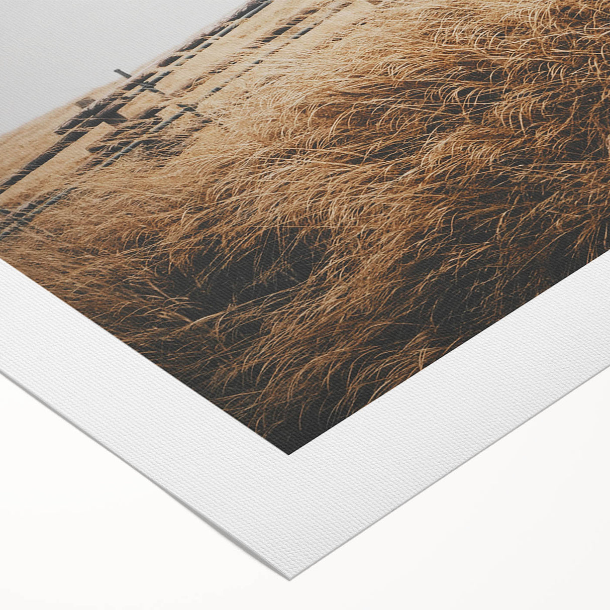 Windblown Prairie Grass Rustic Wall Art – Farmhouse Landscape Decor Print