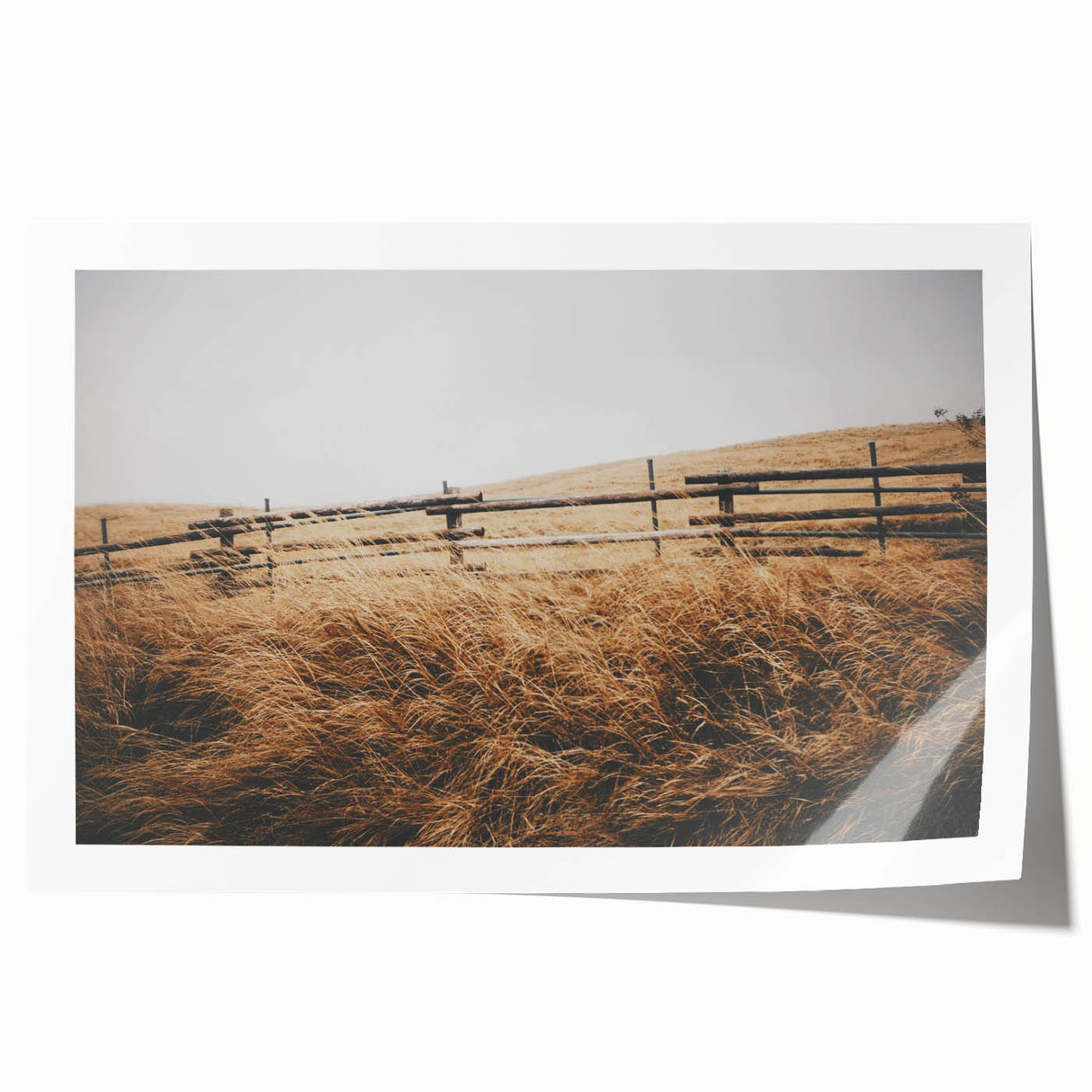 Windblown Prairie Grass Rustic Wall Art – Farmhouse Landscape Decor Print