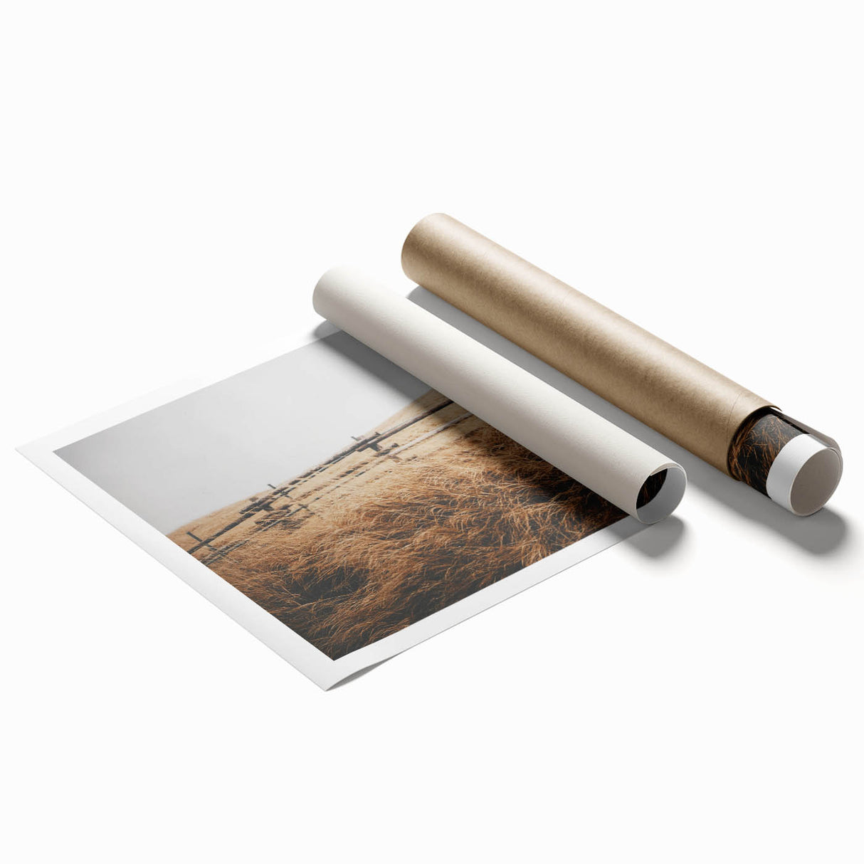 Windblown Prairie Grass Rustic Wall Art – Farmhouse Landscape Decor Print