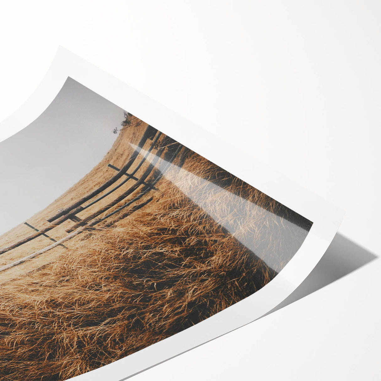 Windblown Prairie Grass Rustic Wall Art – Farmhouse Landscape Decor Print