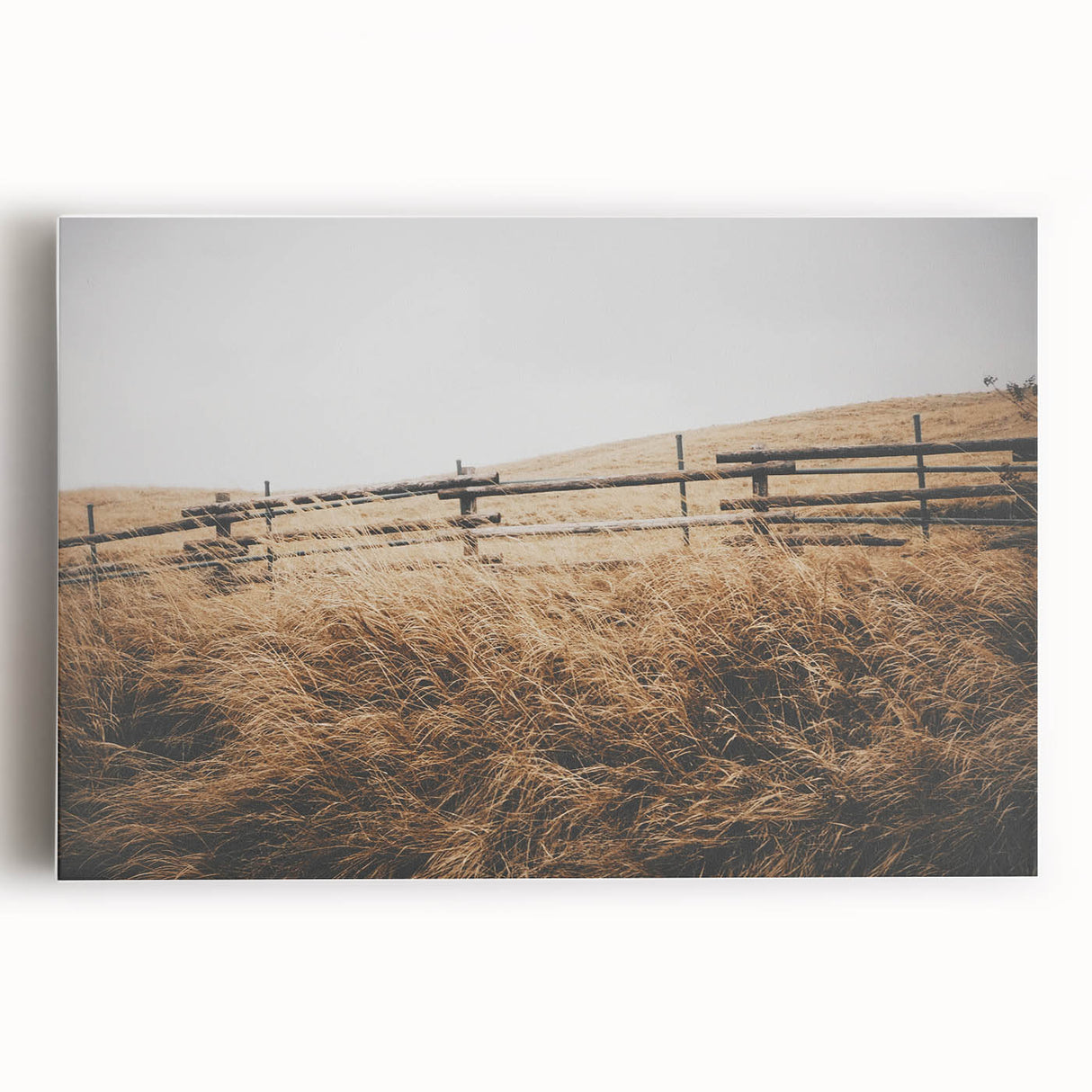 Windblown Prairie Grass Rustic Wall Art – Farmhouse Landscape Decor Print