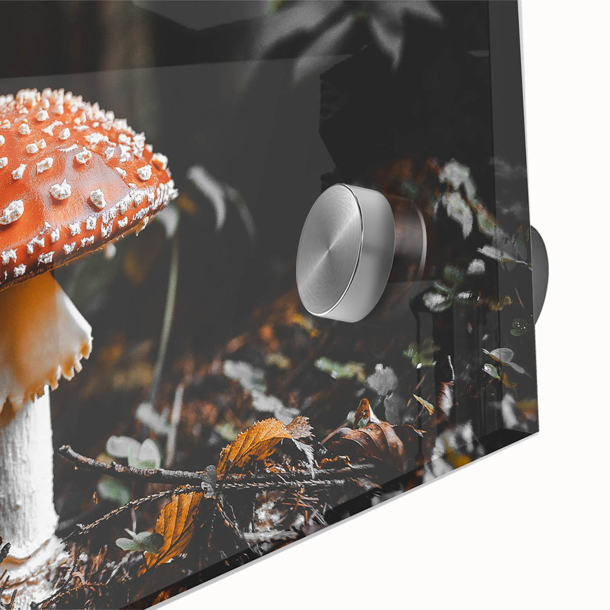 Forest Mushroom Close-Up Rustic Wall Art – Farmhouse Nature Decor Print