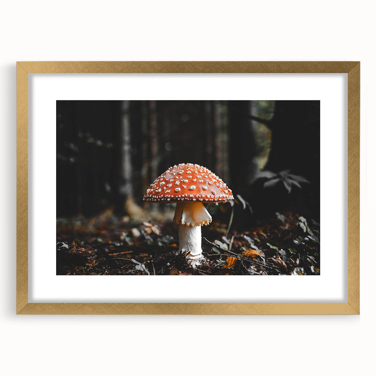 Forest Mushroom Close-Up Rustic Wall Art – Farmhouse Nature Decor Print