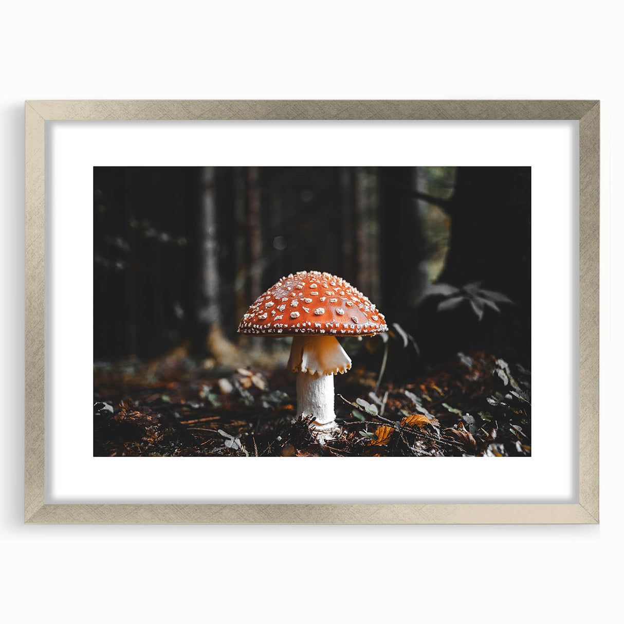 Forest Mushroom Close-Up Rustic Wall Art – Farmhouse Nature Decor Print