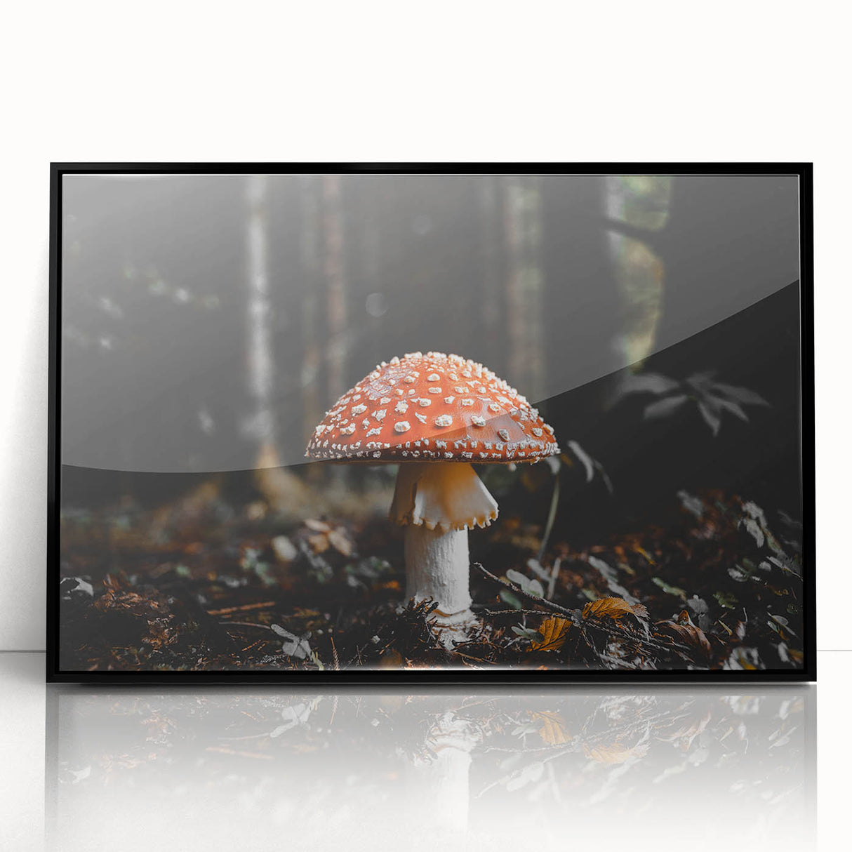 Forest Mushroom Close-Up Rustic Wall Art – Farmhouse Nature Decor Print