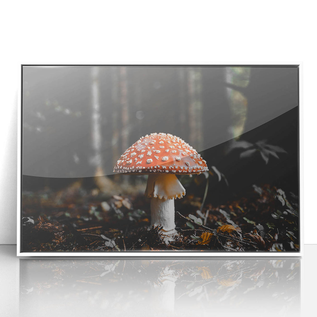 Forest Mushroom Close-Up Rustic Wall Art – Farmhouse Nature Decor Print