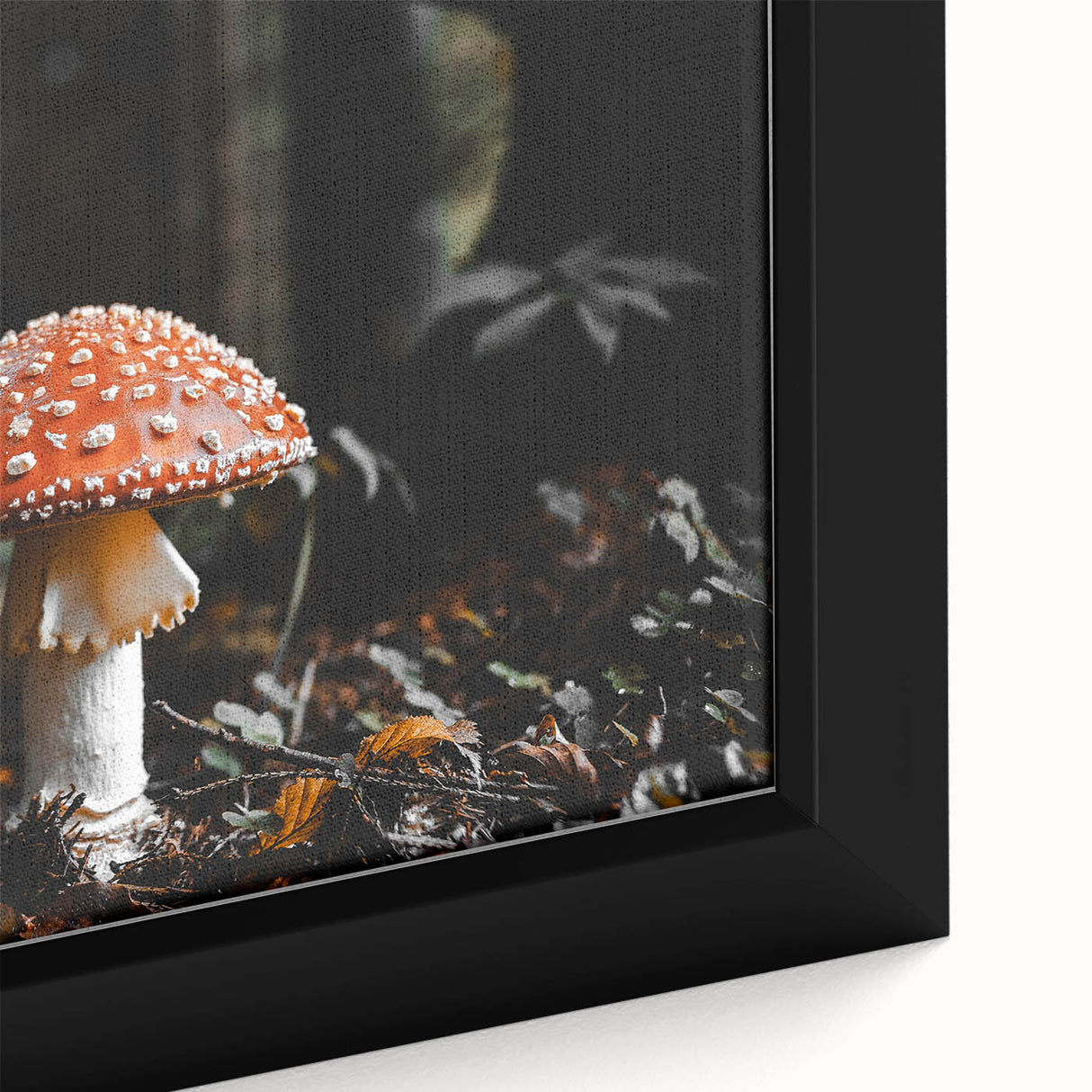 Forest Mushroom Close-Up Rustic Wall Art – Farmhouse Nature Decor Print