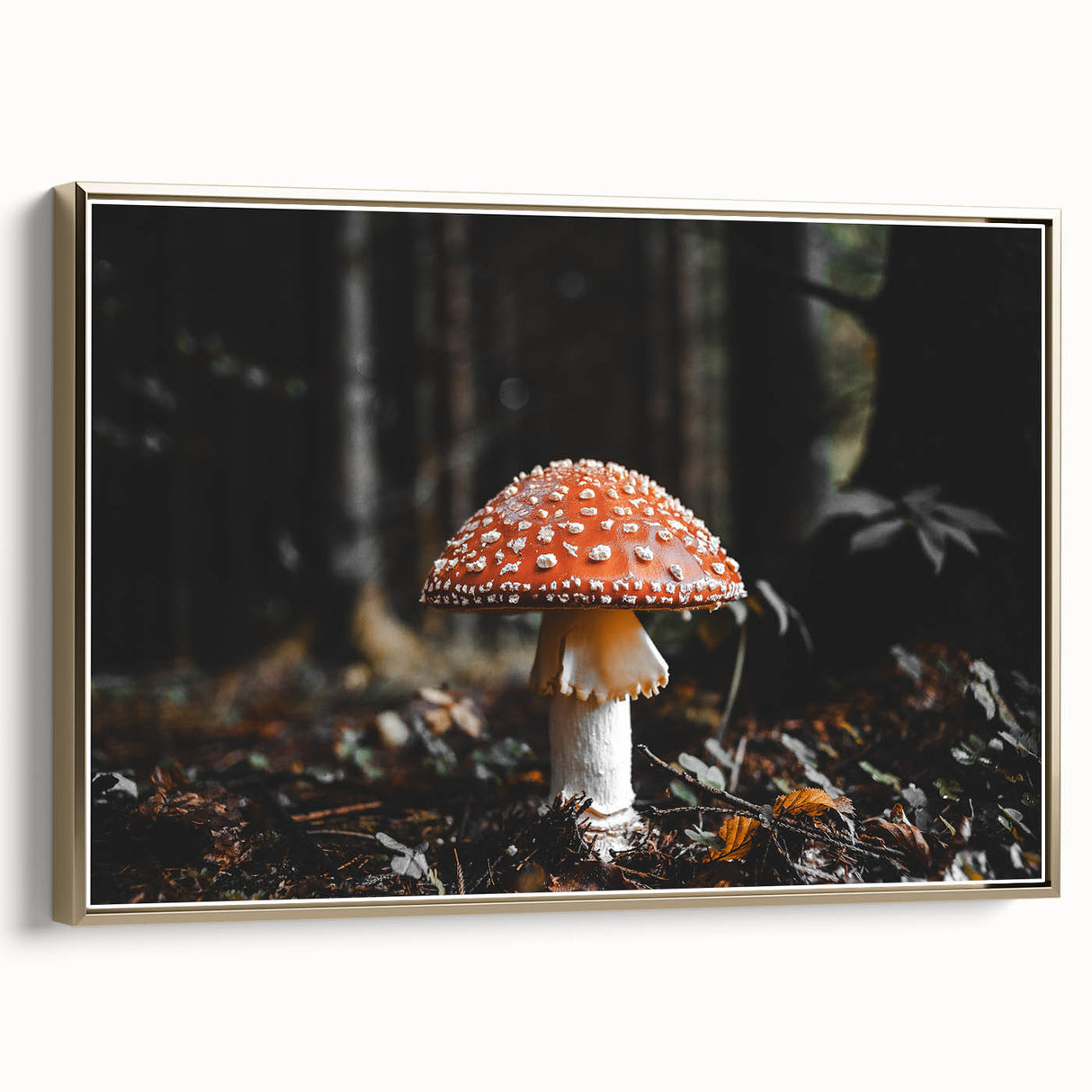 Forest Mushroom Close-Up Rustic Wall Art – Farmhouse Nature Decor Print
