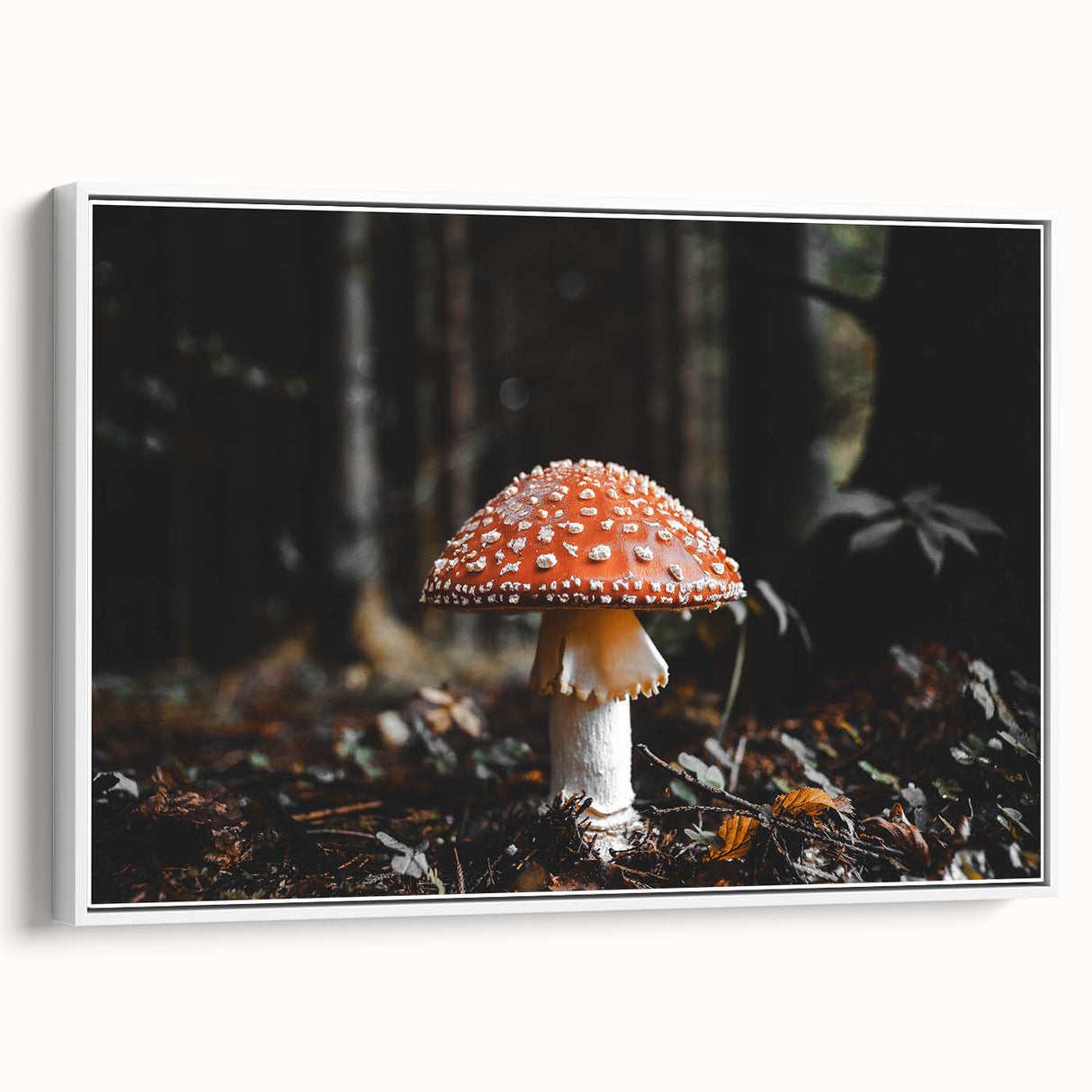 Forest Mushroom Close-Up Rustic Wall Art – Farmhouse Nature Decor Print