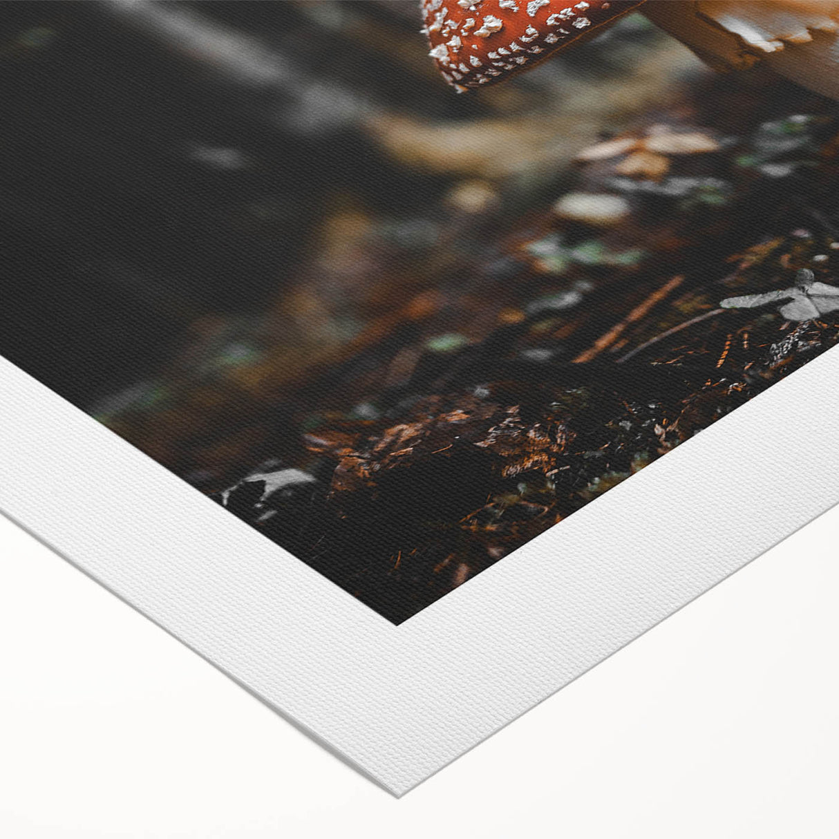 Forest Mushroom Close-Up Rustic Wall Art – Farmhouse Nature Decor Print