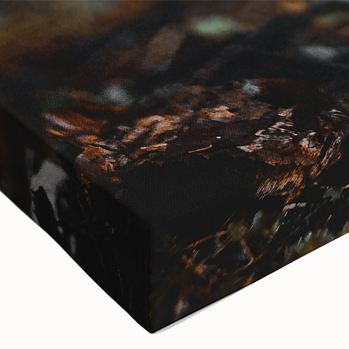 Forest Mushroom Close-Up Rustic Wall Art – Farmhouse Nature Decor Print