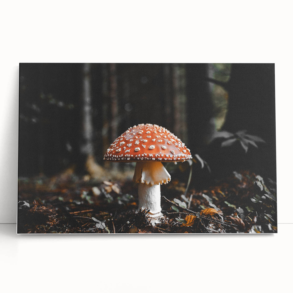 Forest Mushroom Close-Up Rustic Wall Art – Farmhouse Nature Decor Print